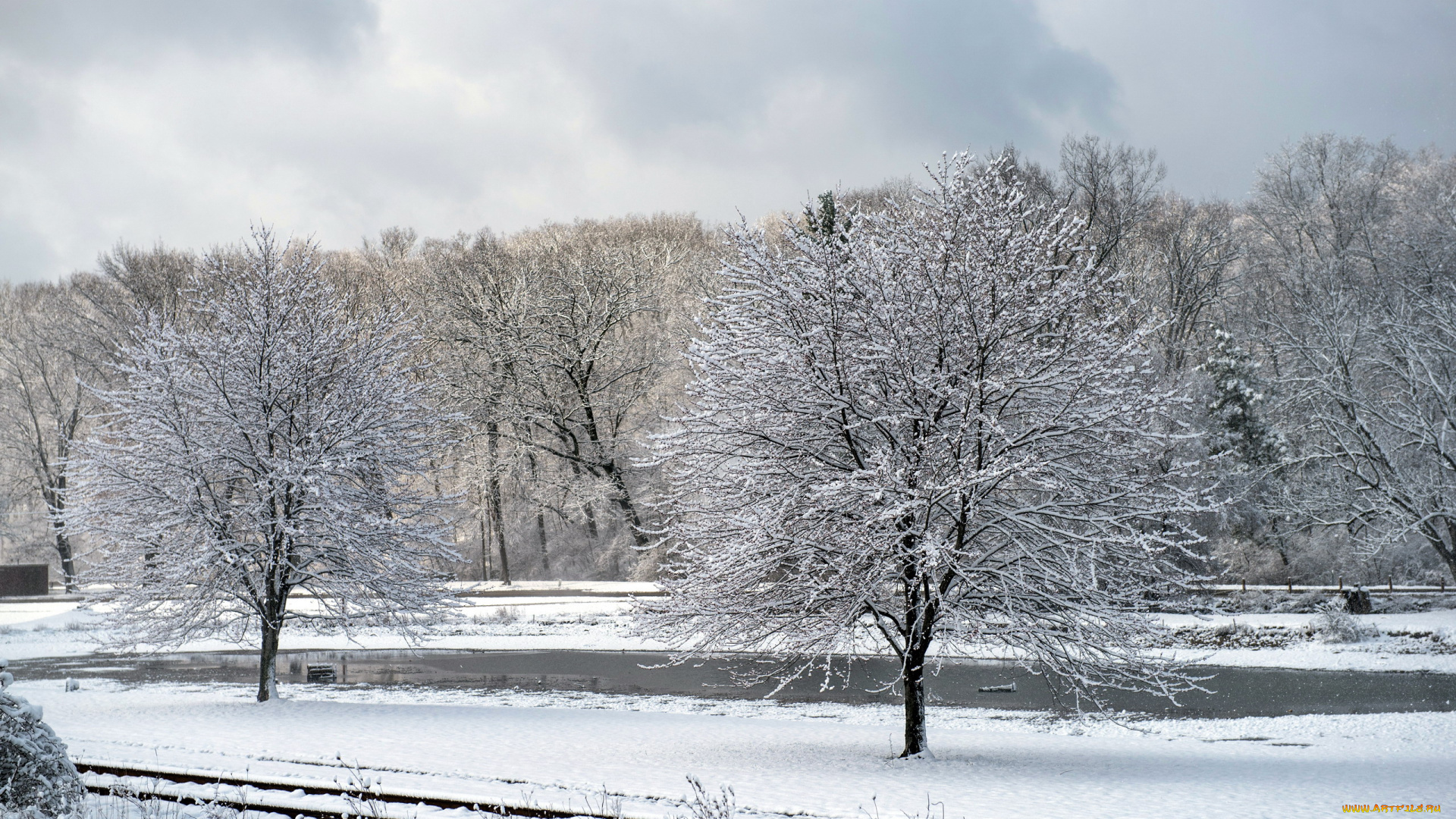 природа, зима, снег, деревья, иней