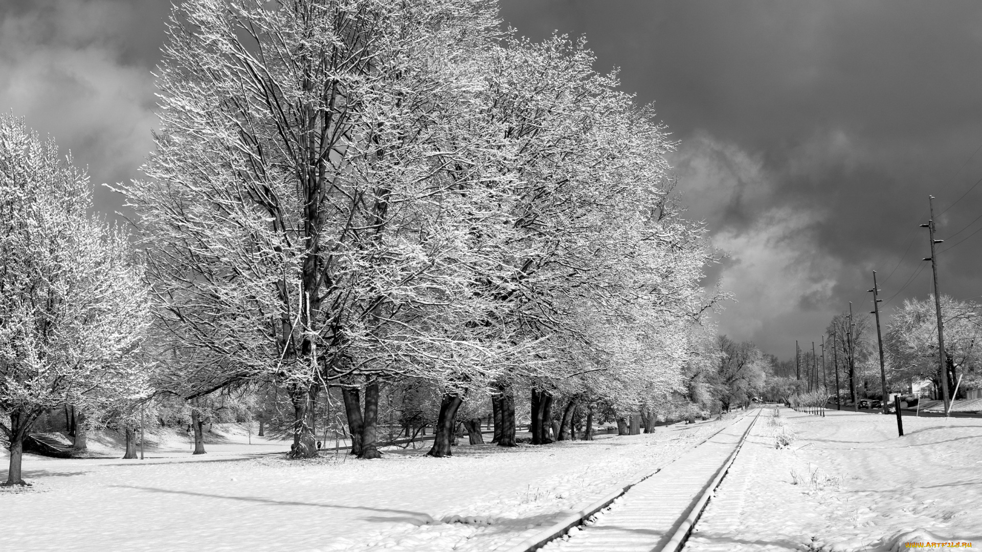 природа, зима, снег, иней, деревья