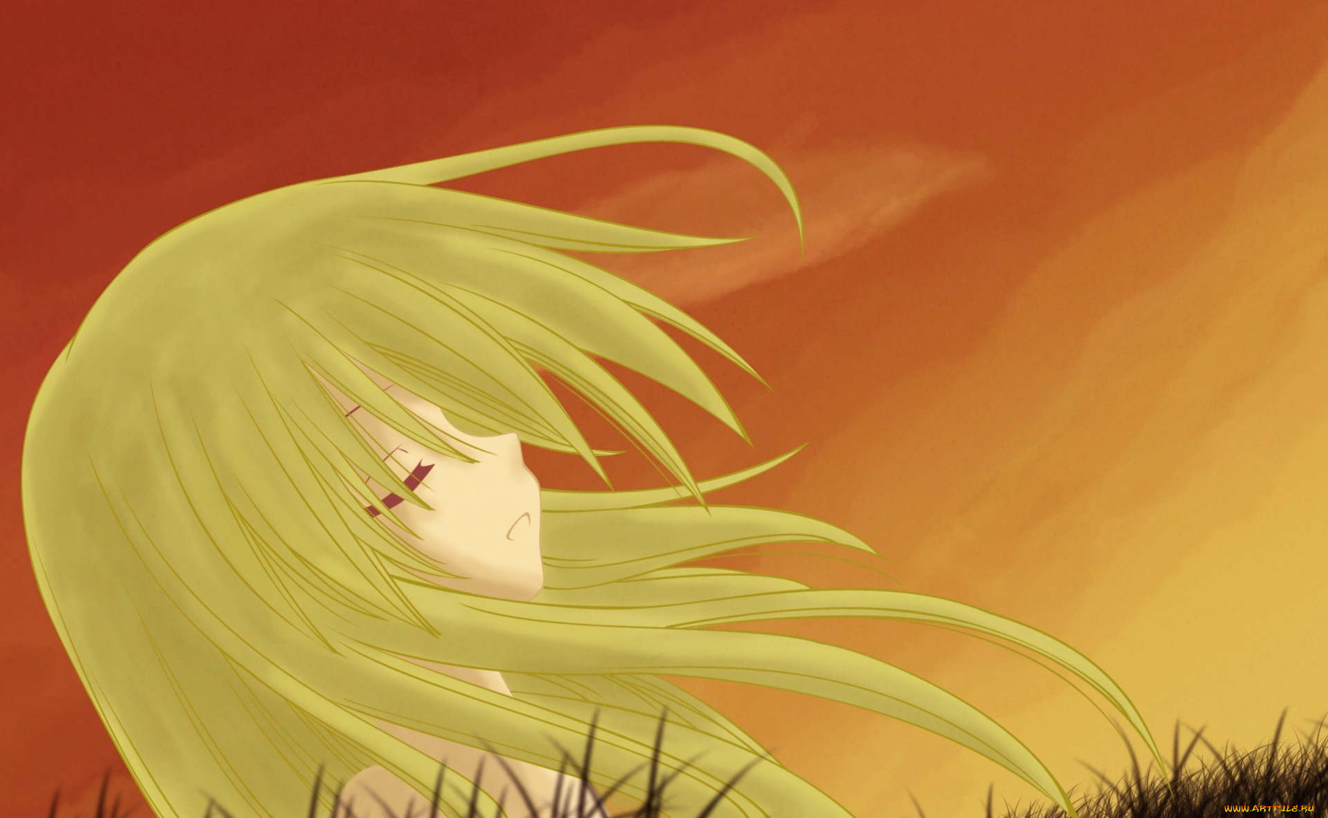 аниме, ookami-san, to, shichinin, no, nakama-tachi, фон, взгляд, девушка