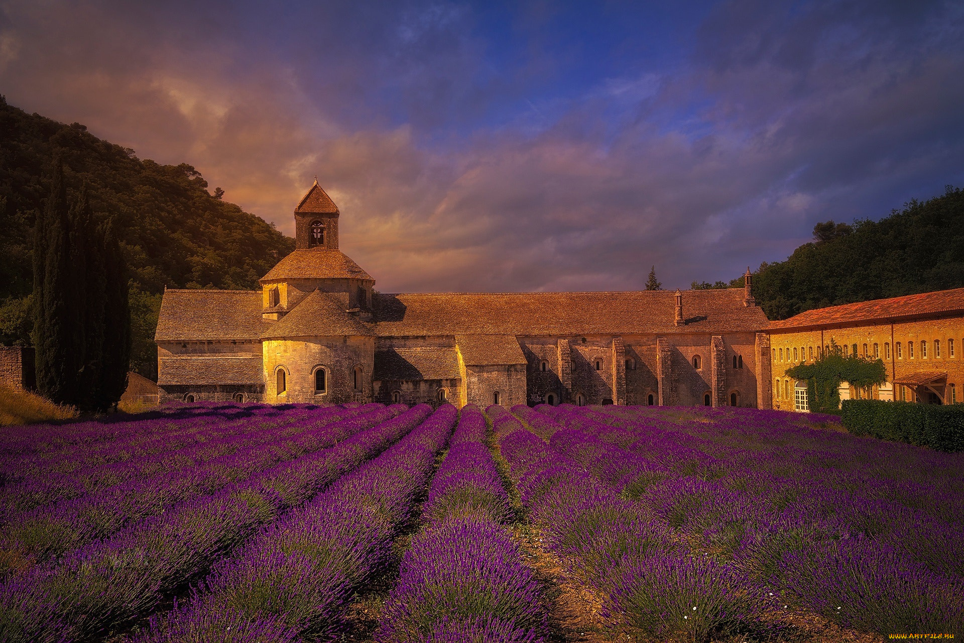 города, -, здания, , дома, франция, поле, лаванда, монастырь