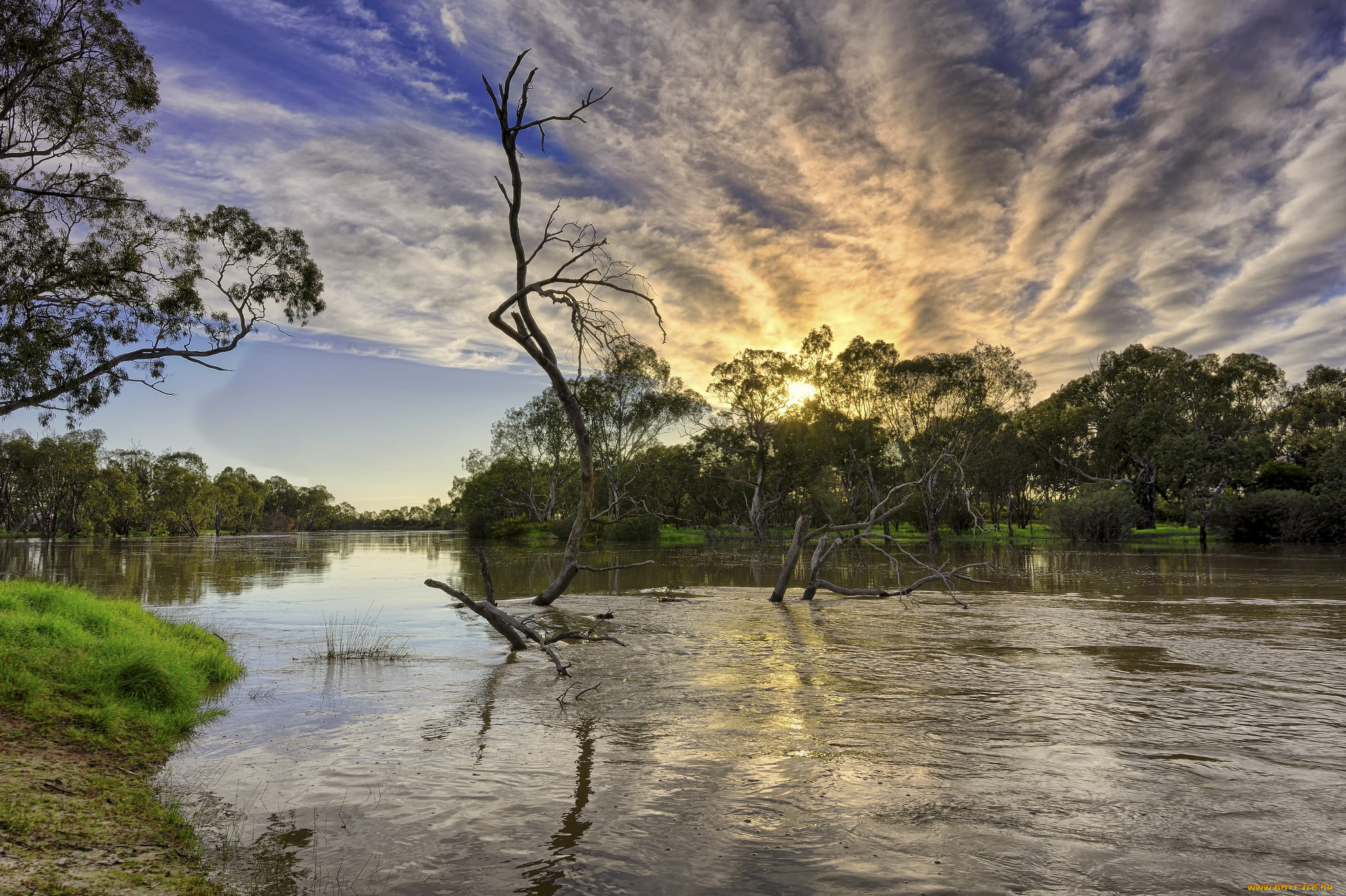 природа, реки, озера, лес, река