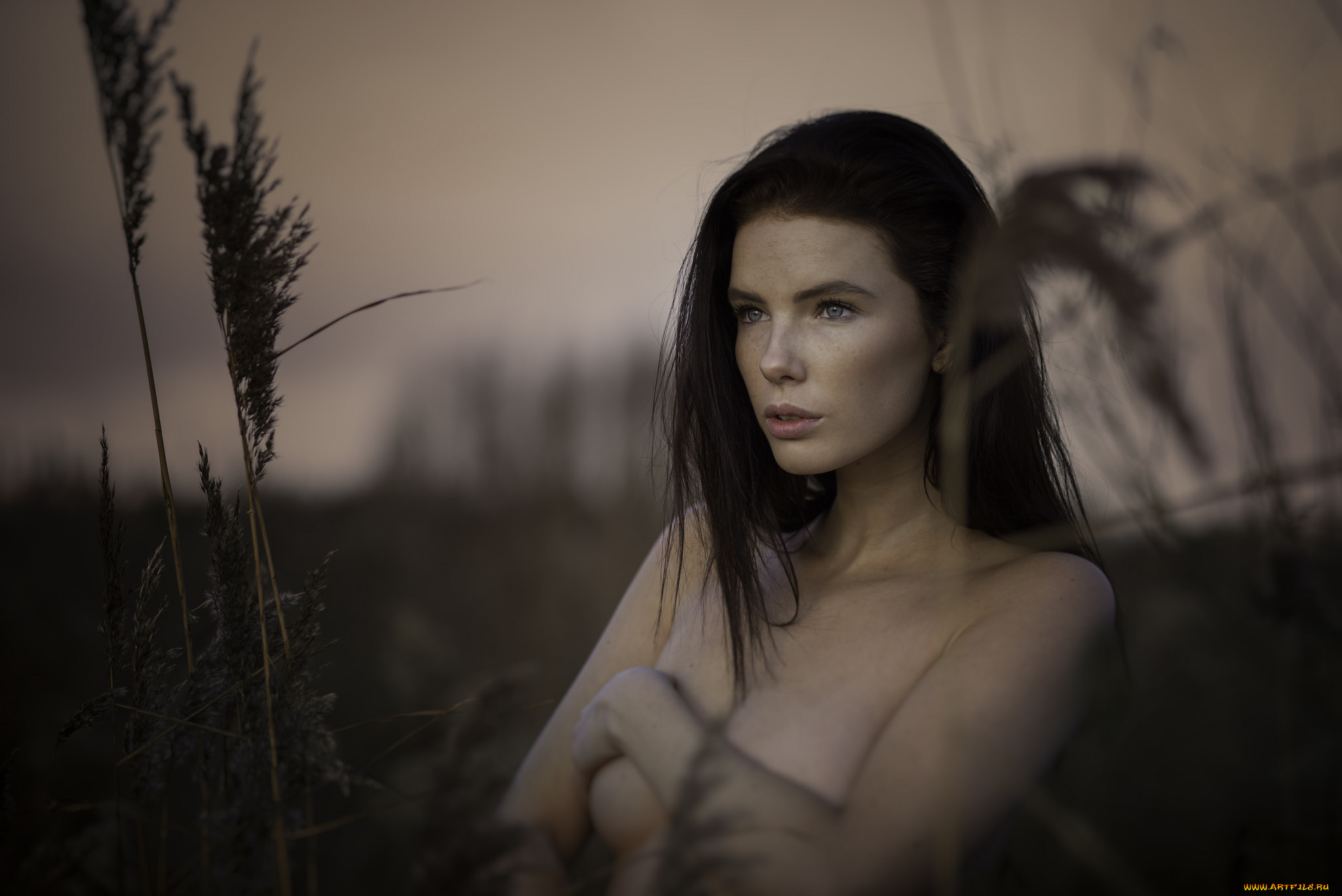 девушки, -unsort, , брюнетки, , шатенки, взгляд, лицо