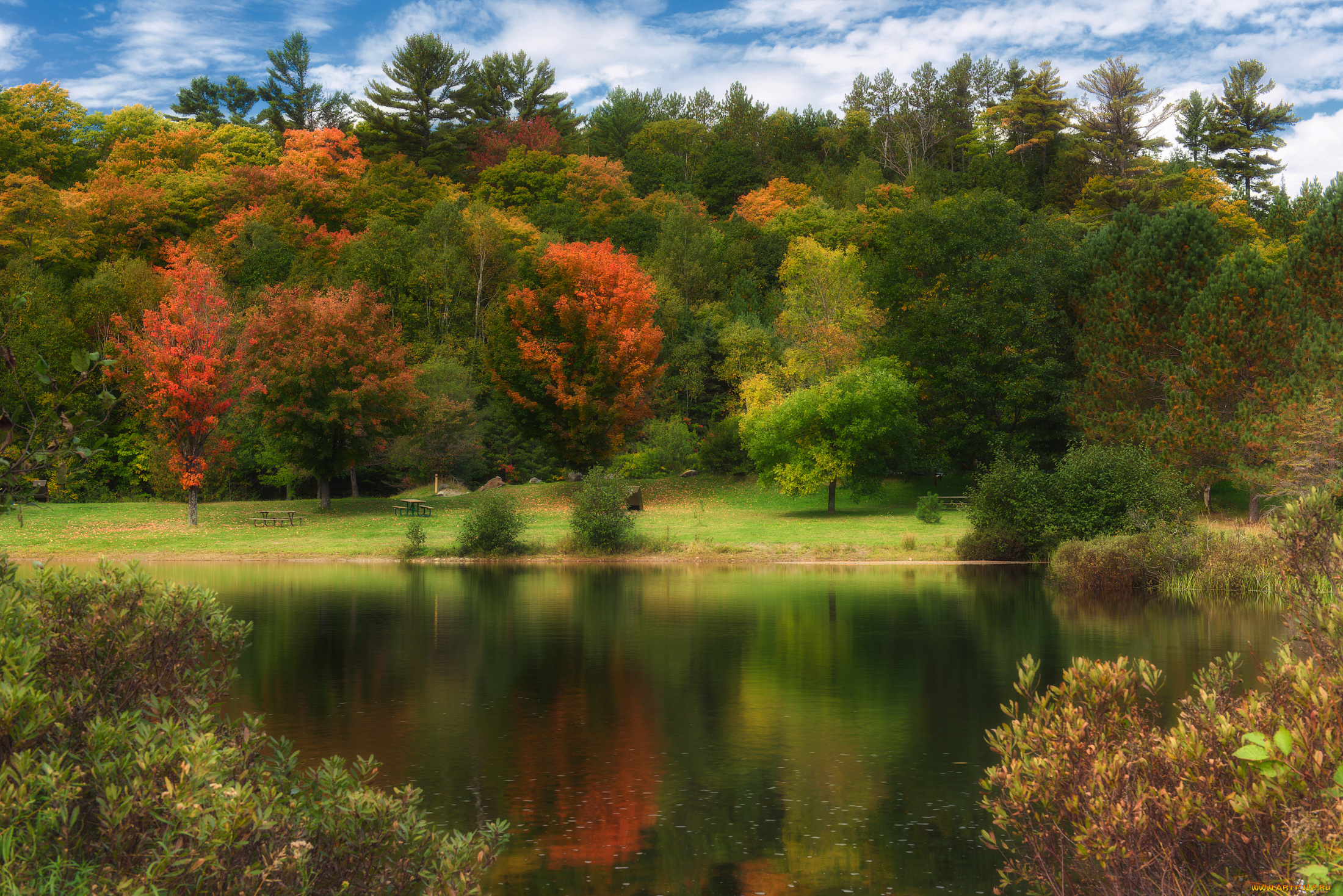 природа, реки, озера, лес, река
