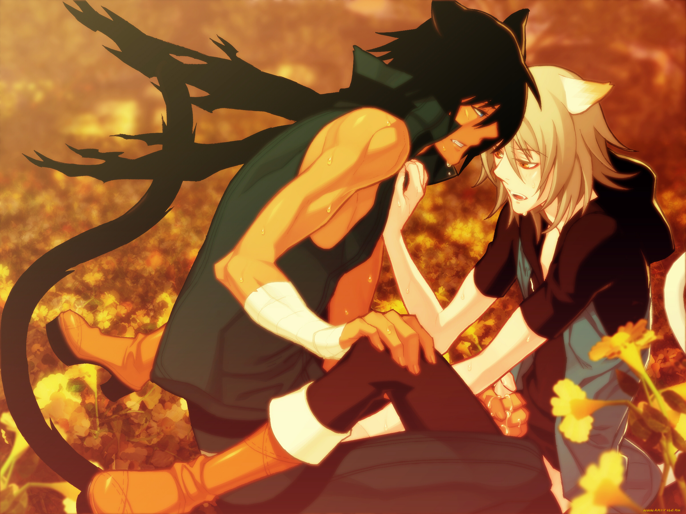 аниме, lamento, парни, рибика, асато, коное