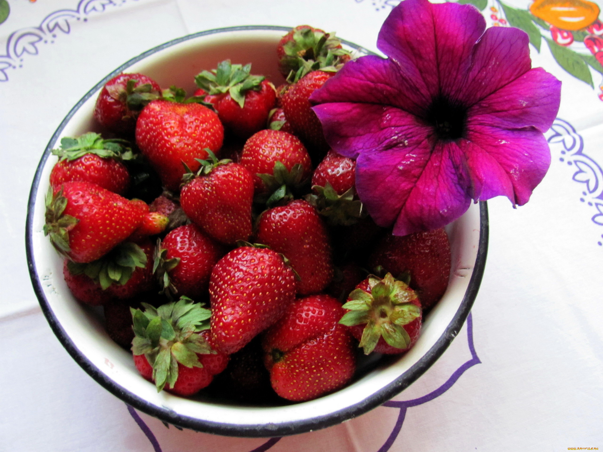 еда, клубника, , земляника, ягоды, петуния