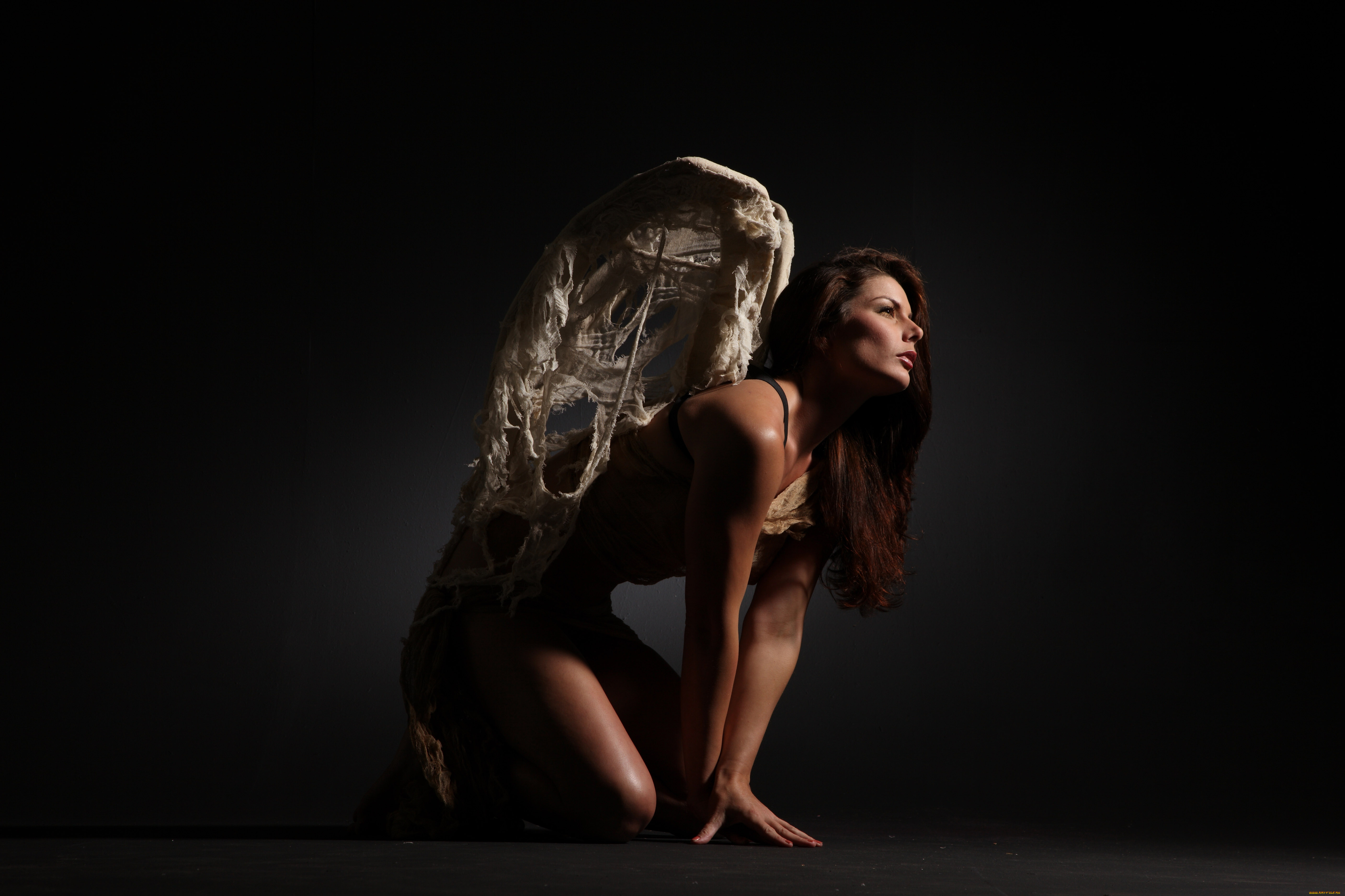 девушки, -unsort, , брюнетки, , шатенки, девушка, фон, крылья