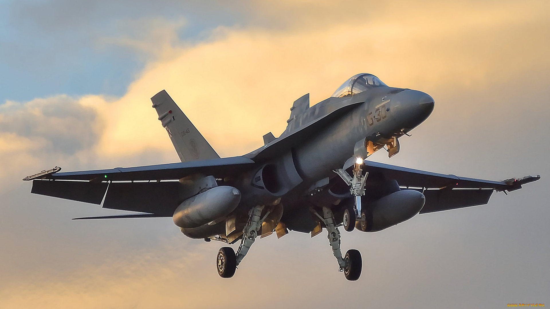 авиация, боевые, самолёты, ввс