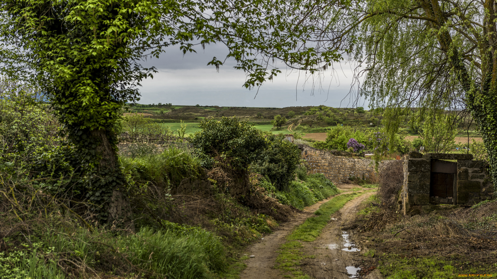 природа, дороги, простор