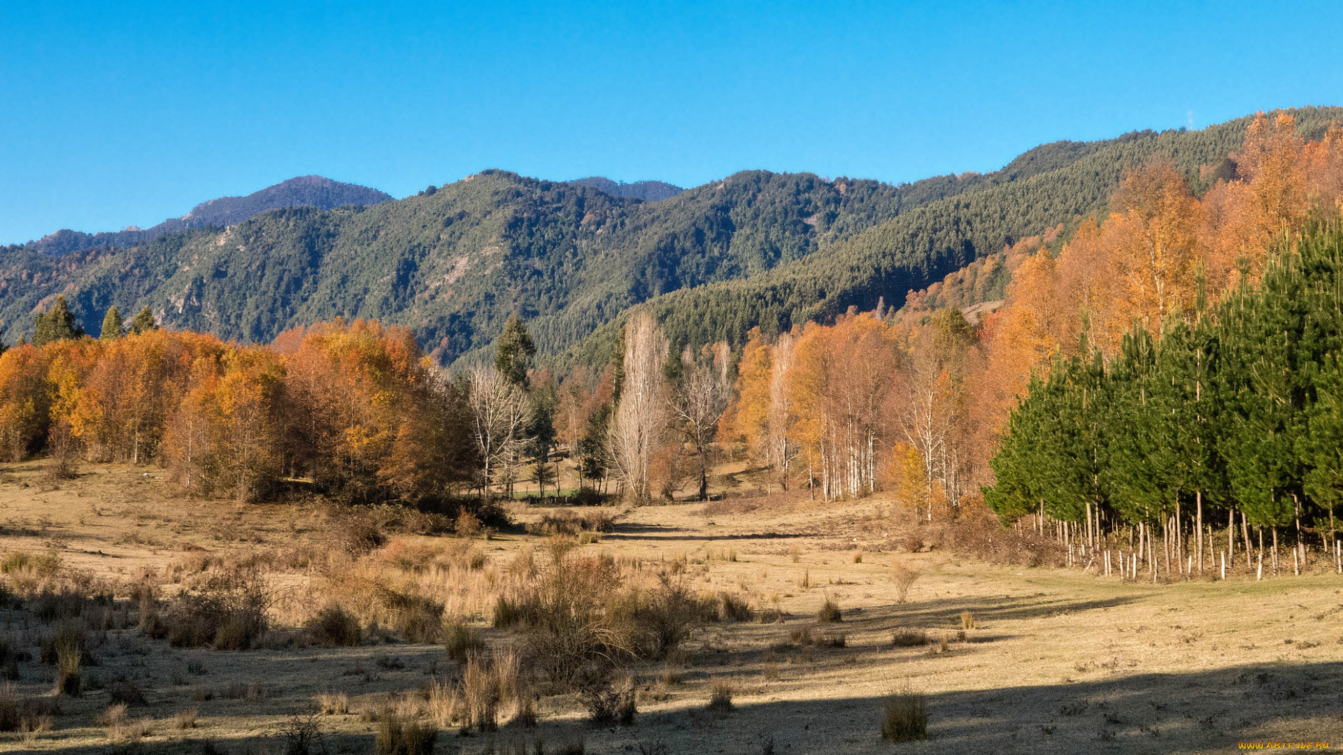 природа, пейзажи, простор