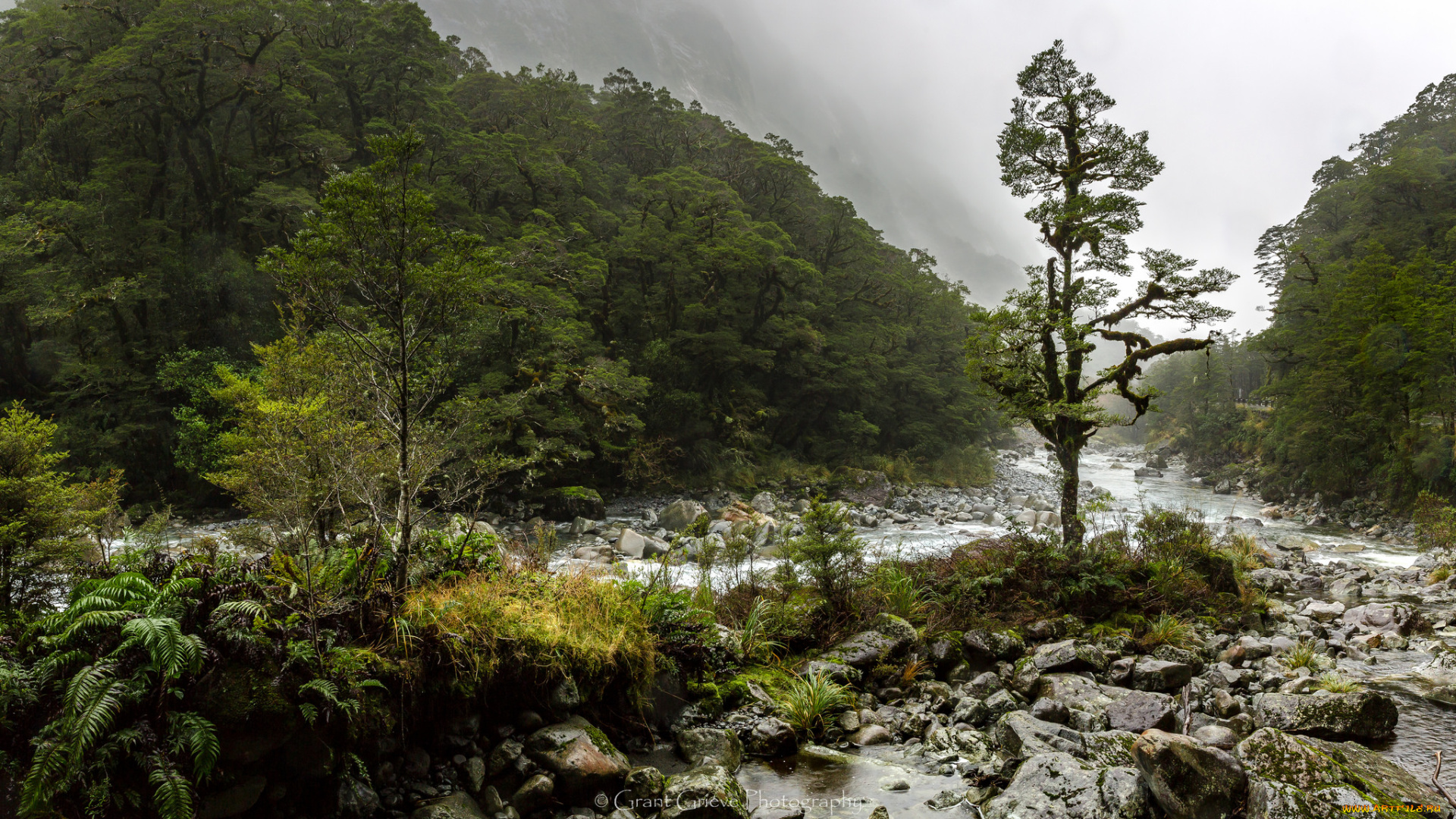 природа, реки, озера, простор