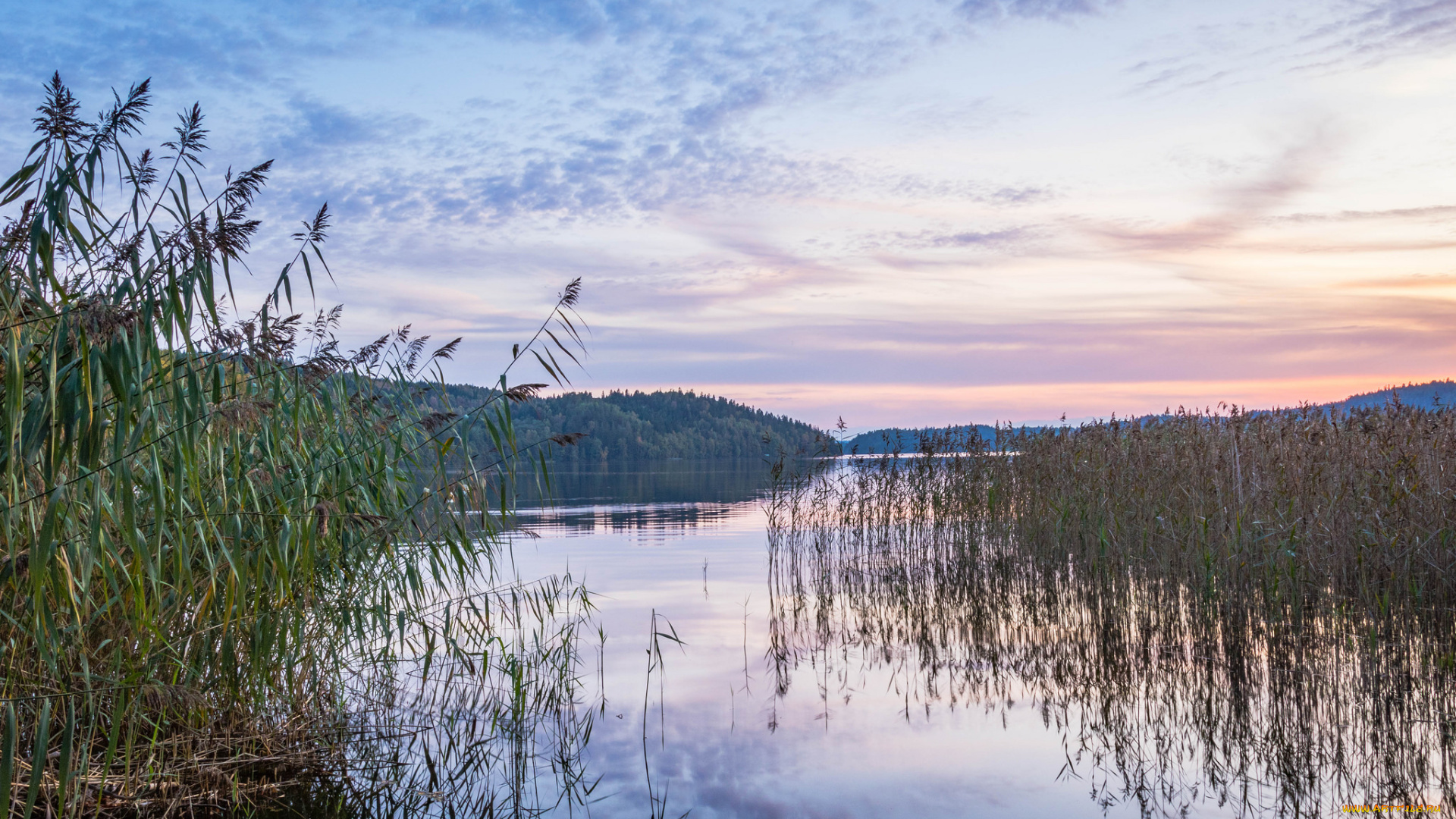 природа, реки, озера, простор