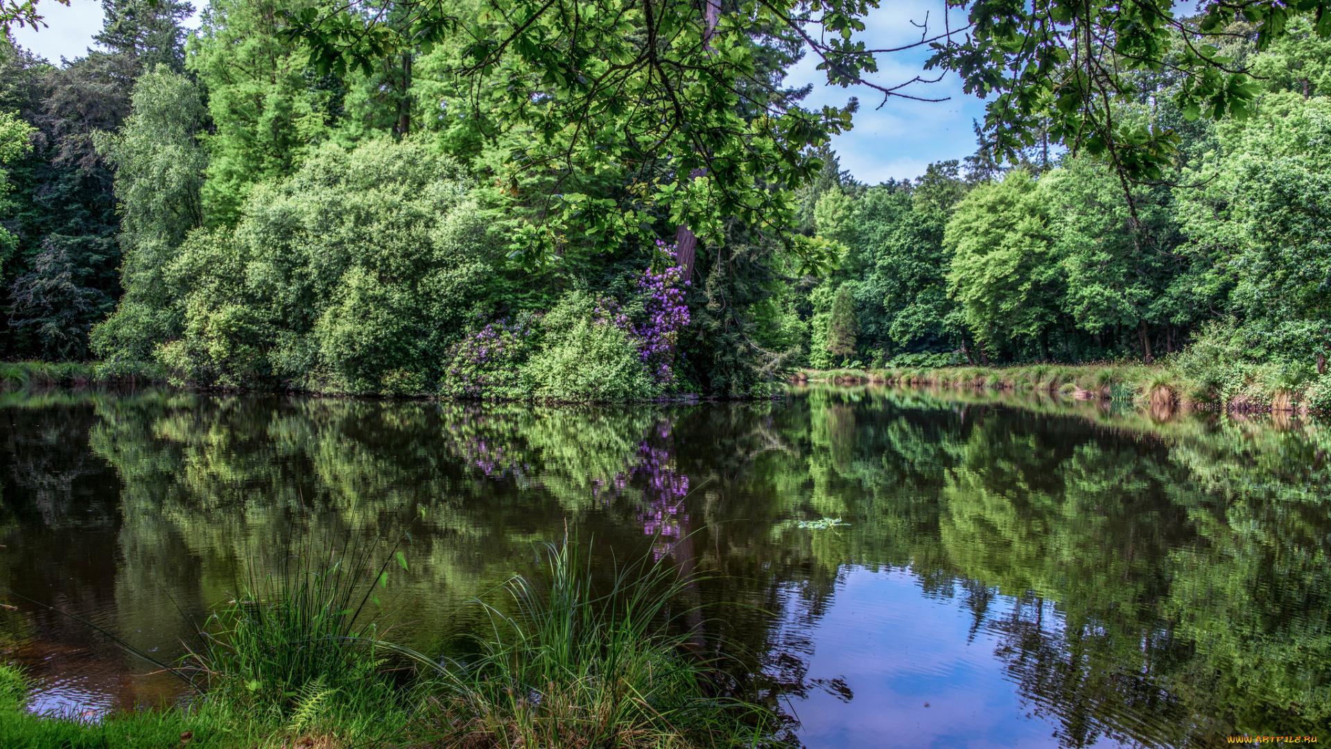 природа, реки, озера, простор