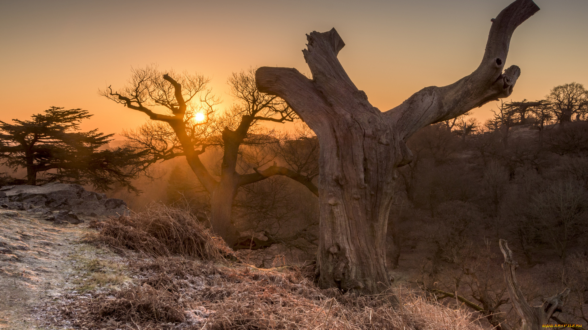 природа, восходы, закаты, простор