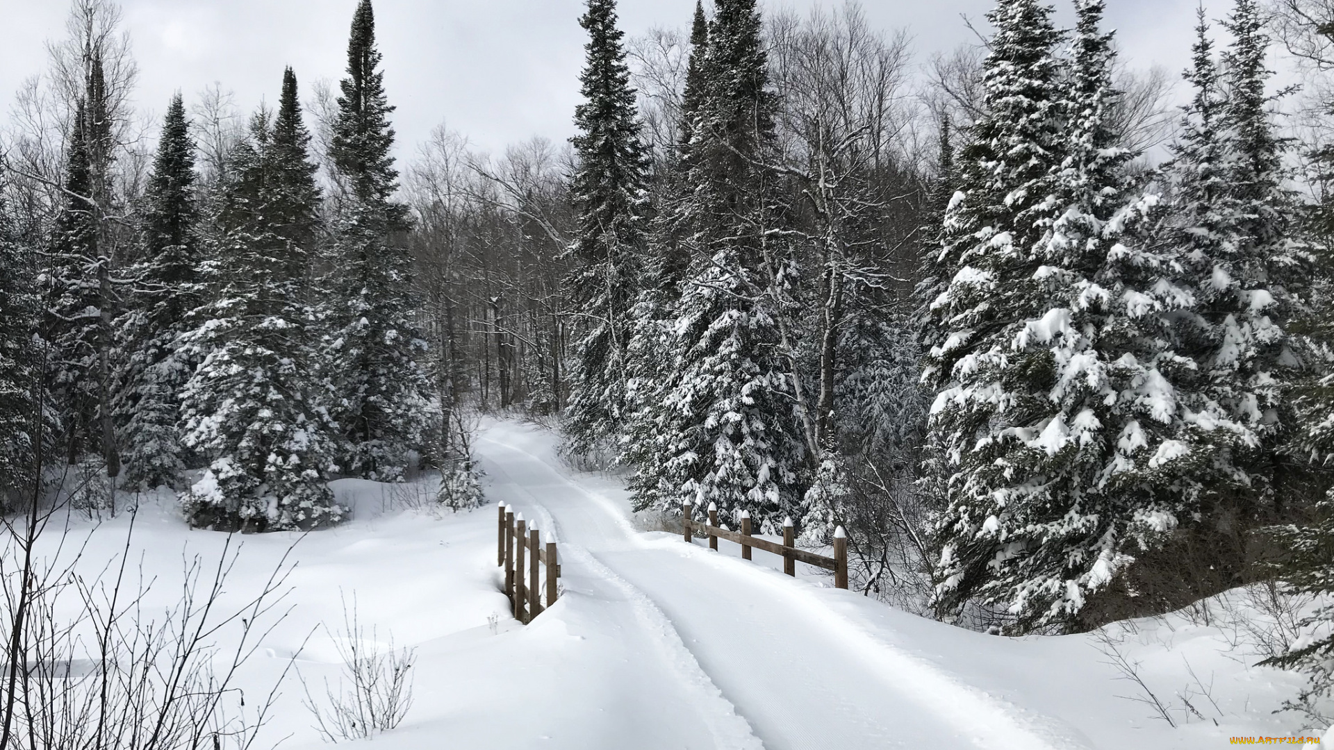 природа, зима, простор