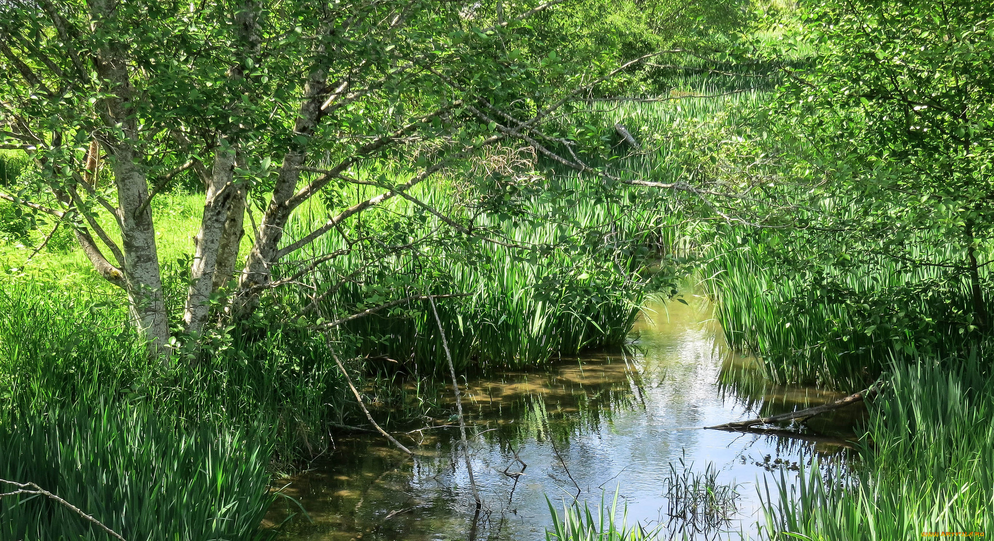 природа, реки, озера, простор