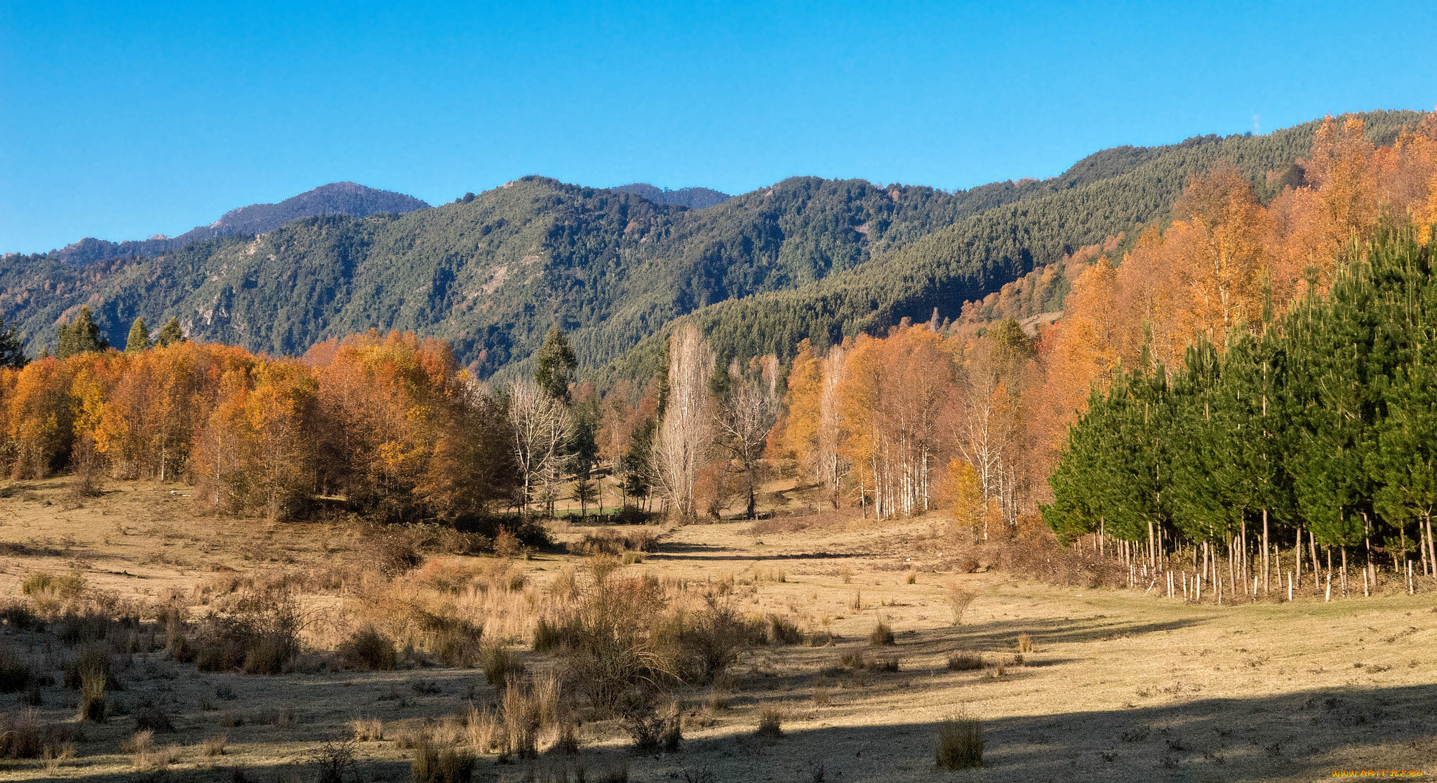 природа, пейзажи, простор