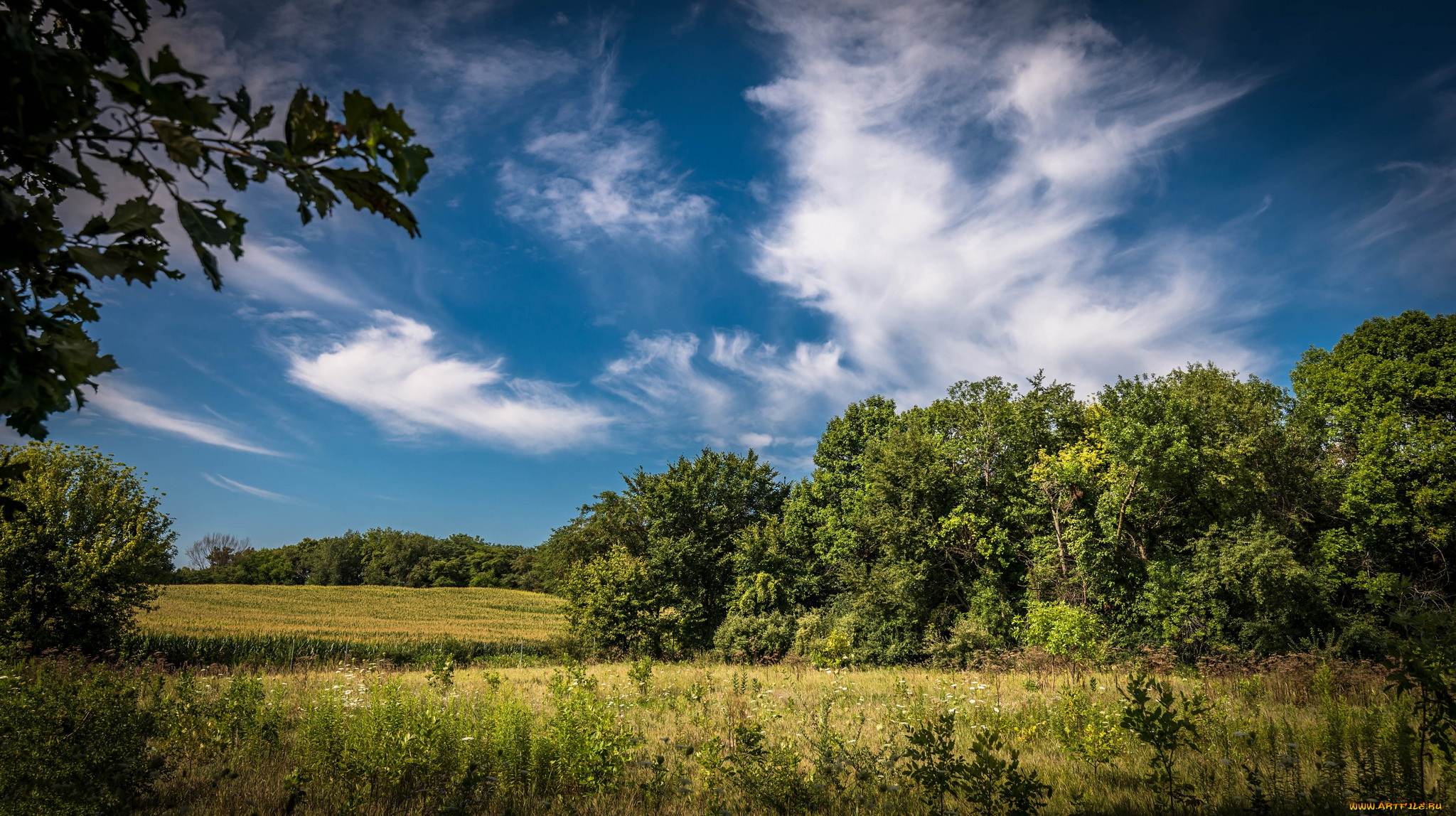 природа, пейзажи, простор