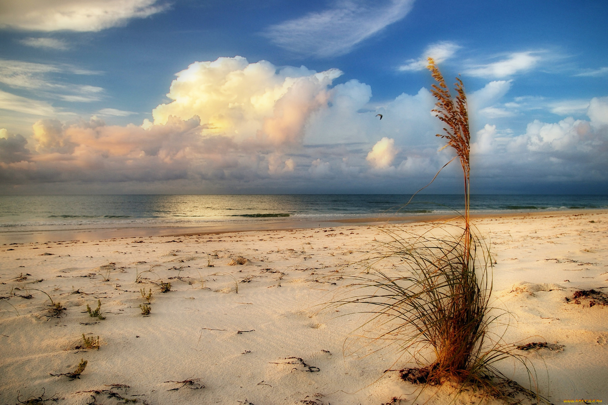 природа, побережье, простор