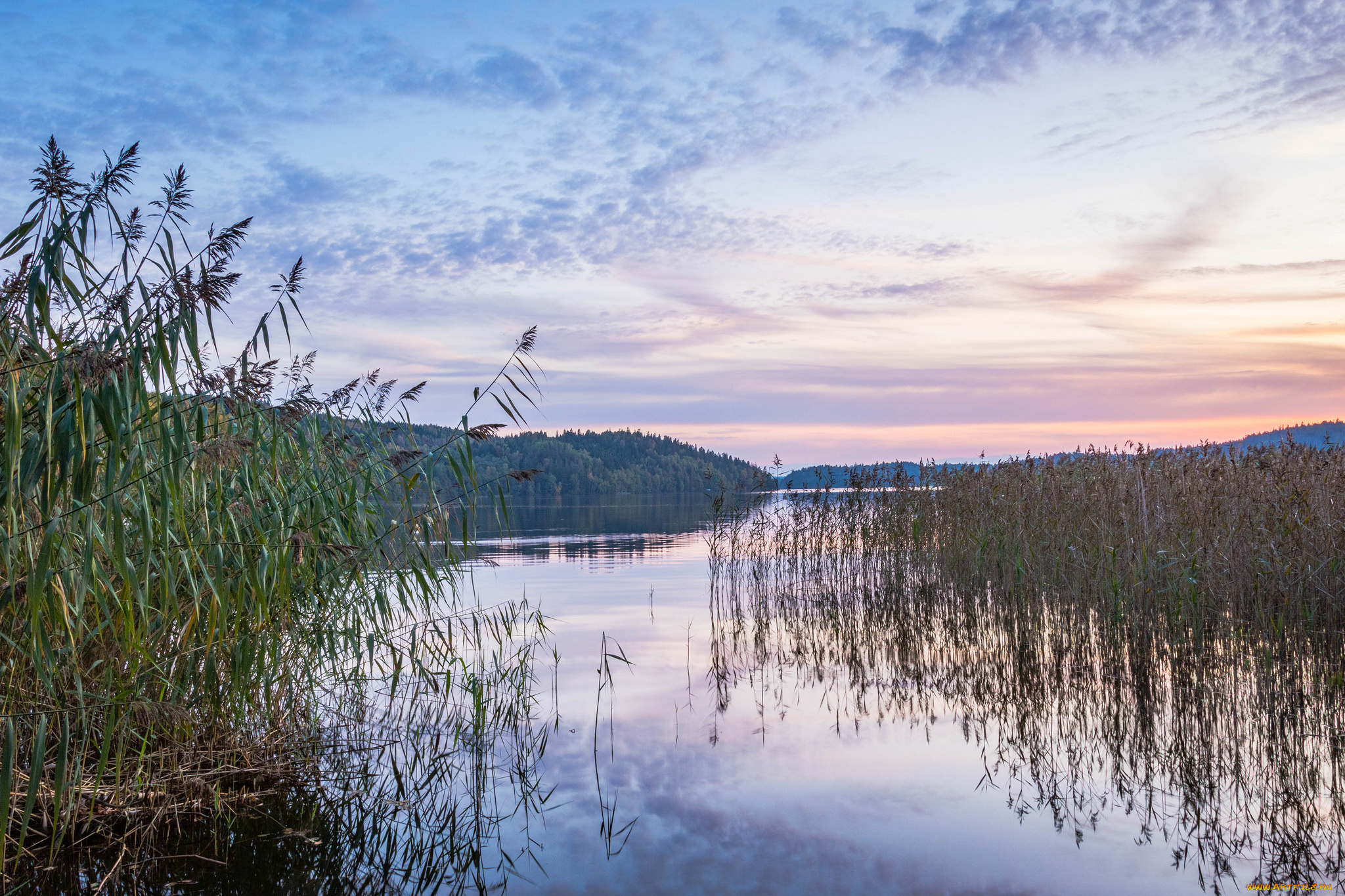 природа, реки, озера, простор