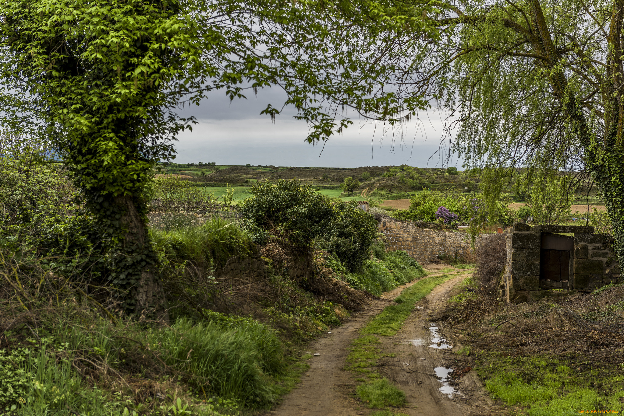 природа, дороги, простор