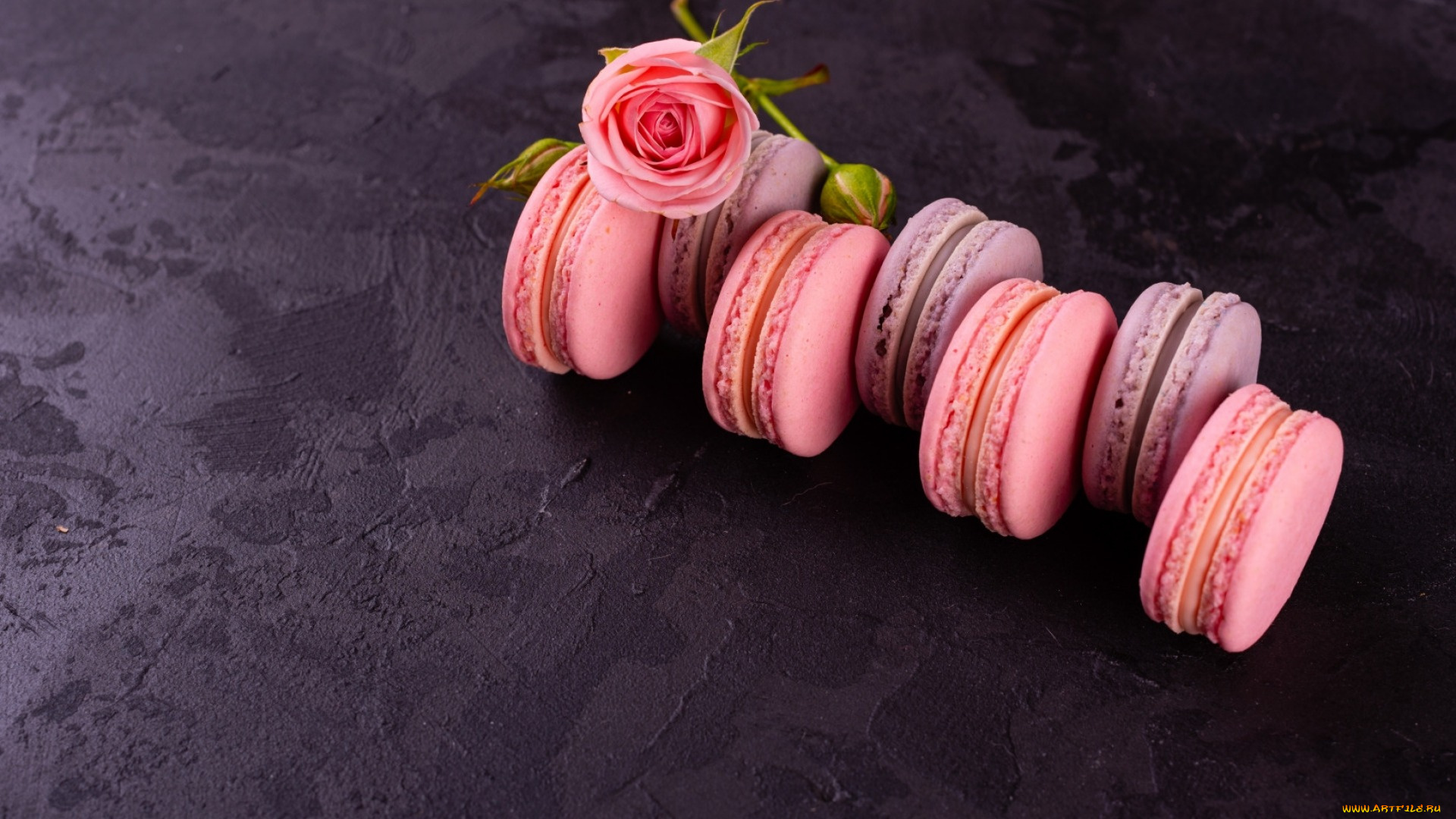 еда, макаруны, роза