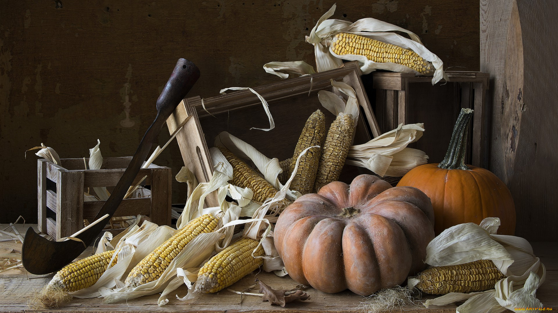 еда, овощи, снедь