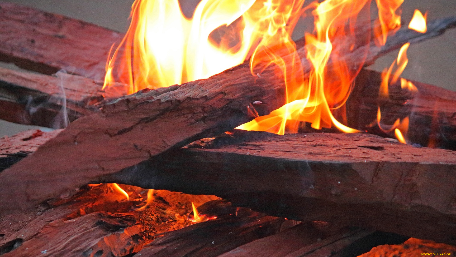 природа, огонь, дрова, пламя