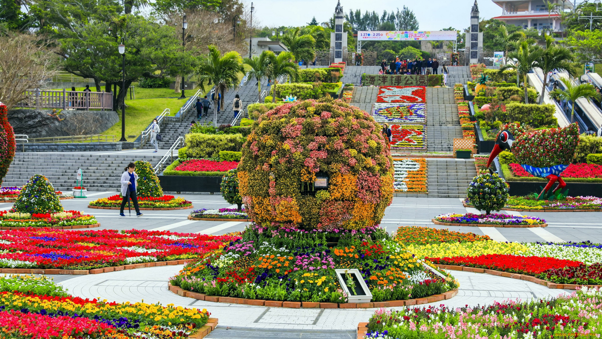 природа, парк, клумбы