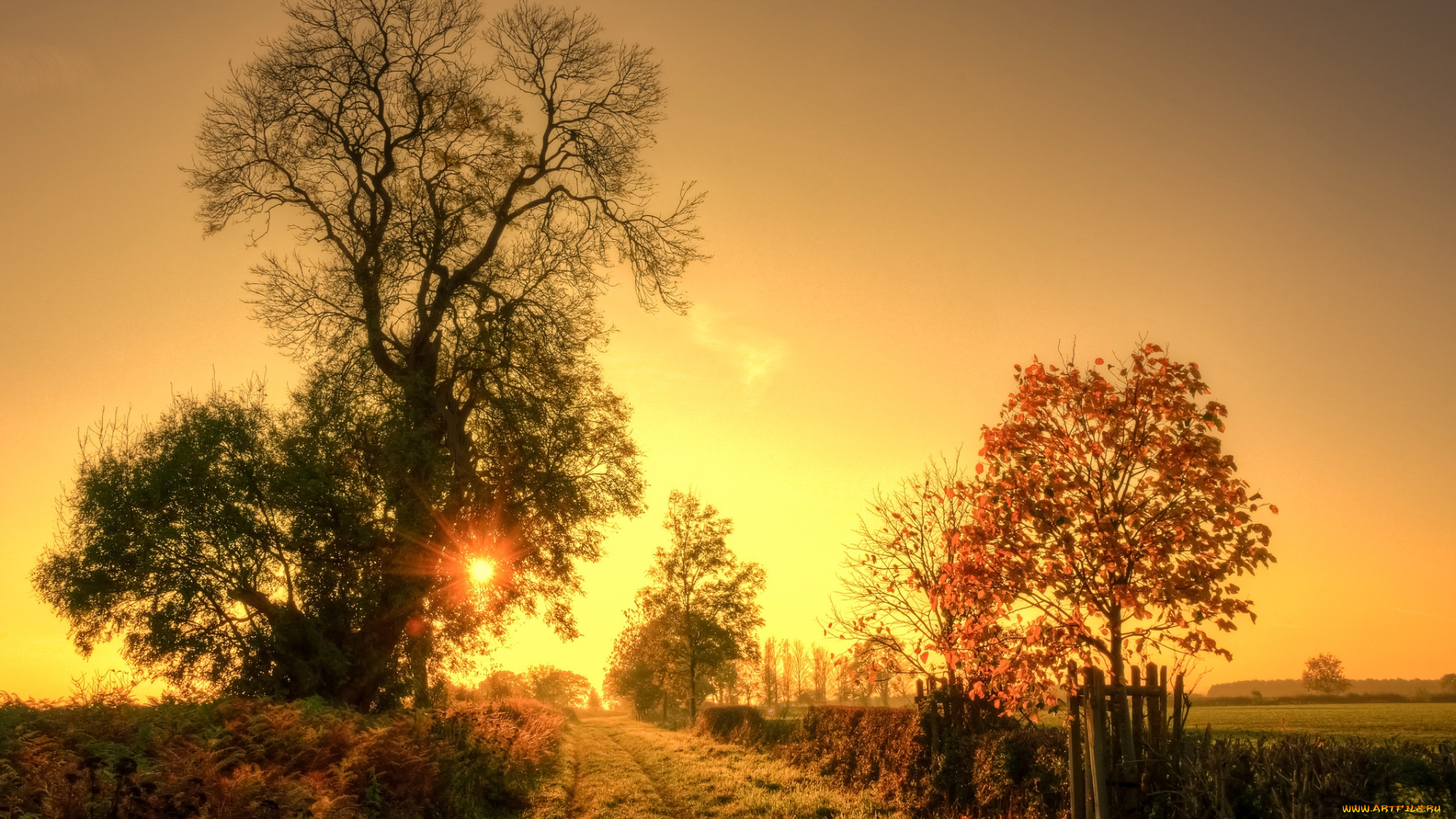 природа, восходы, закаты, простор