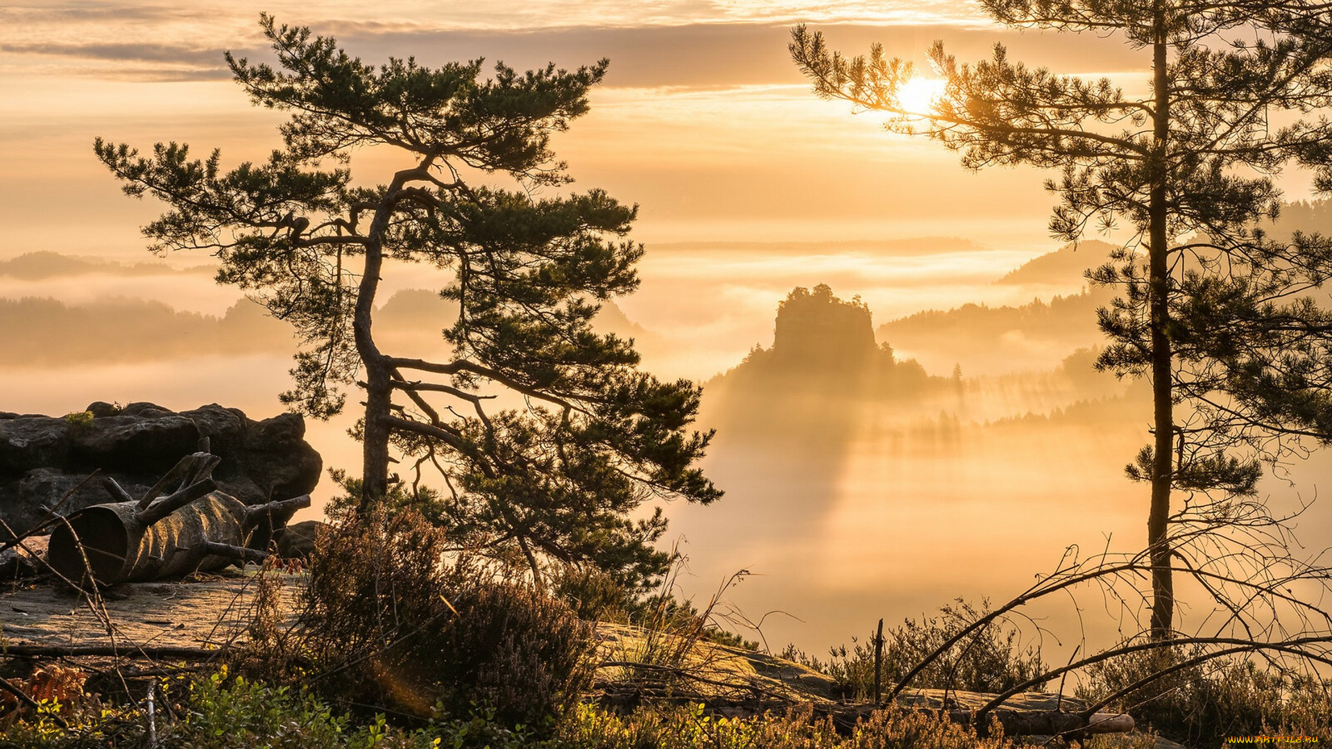 природа, восходы, закаты, простор