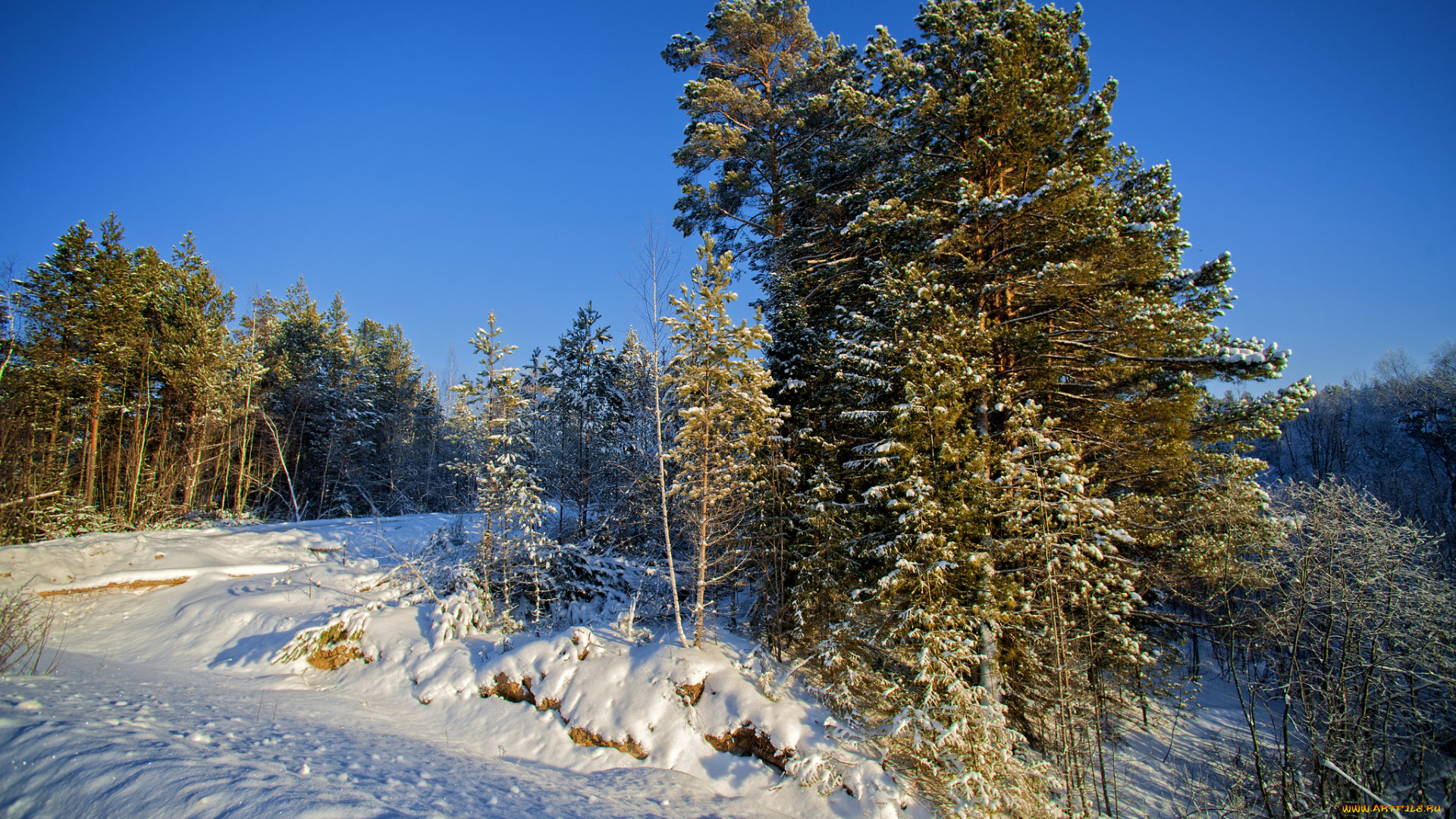 природа, зима, простор