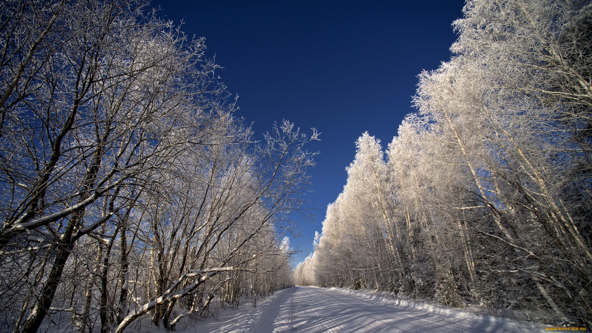 природа, зима, простор