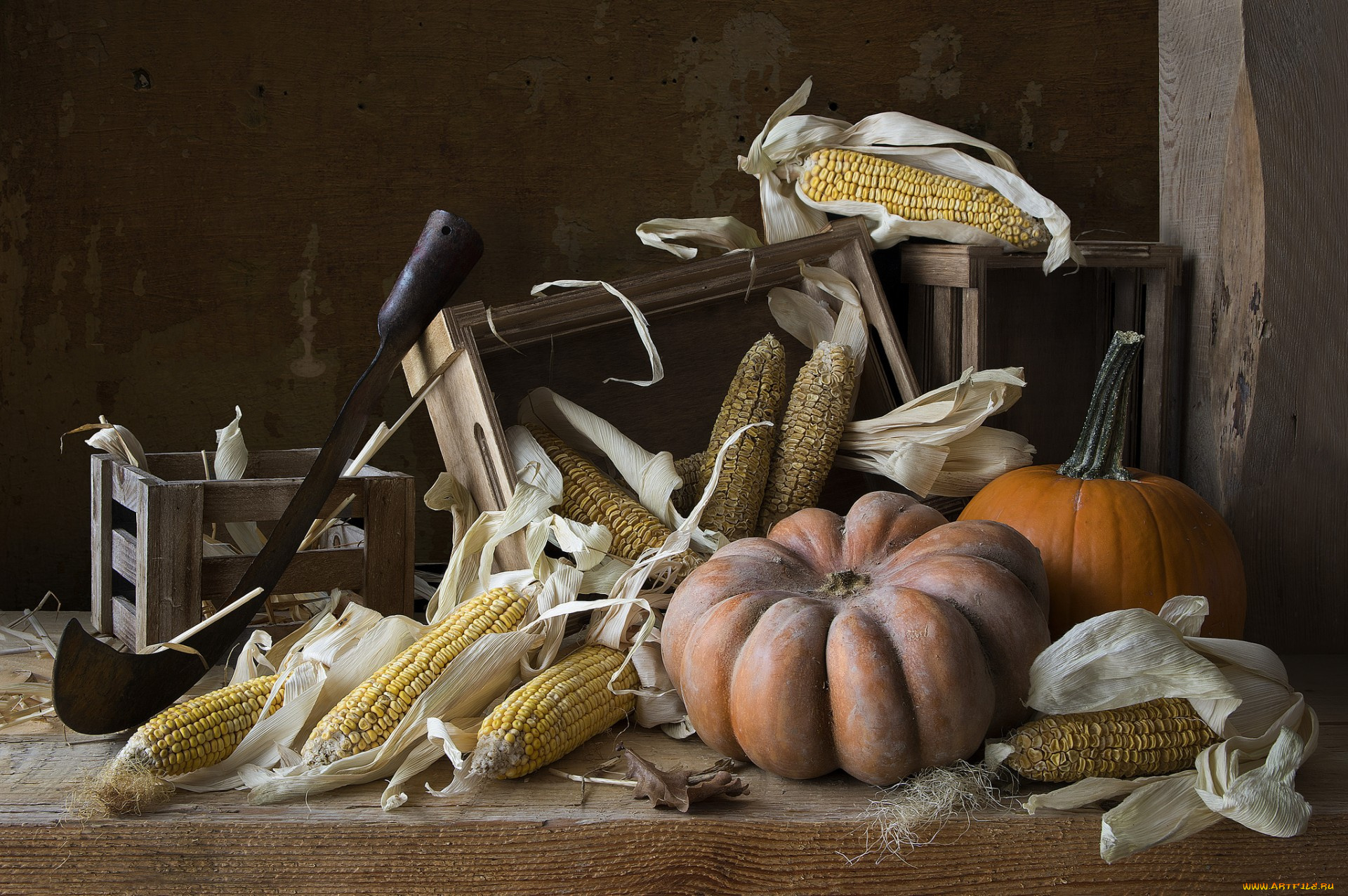 еда, овощи, снедь