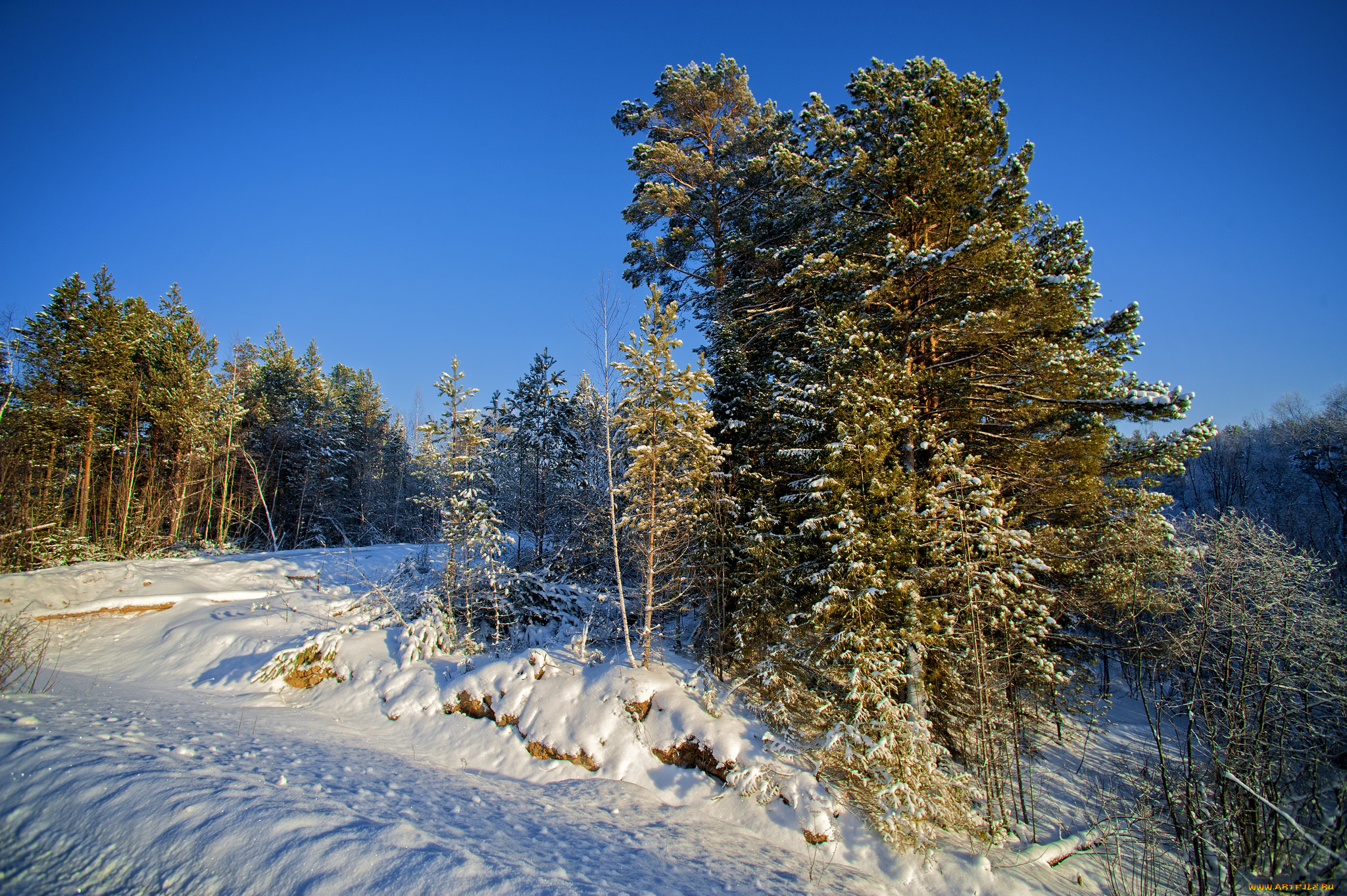 природа, зима, простор