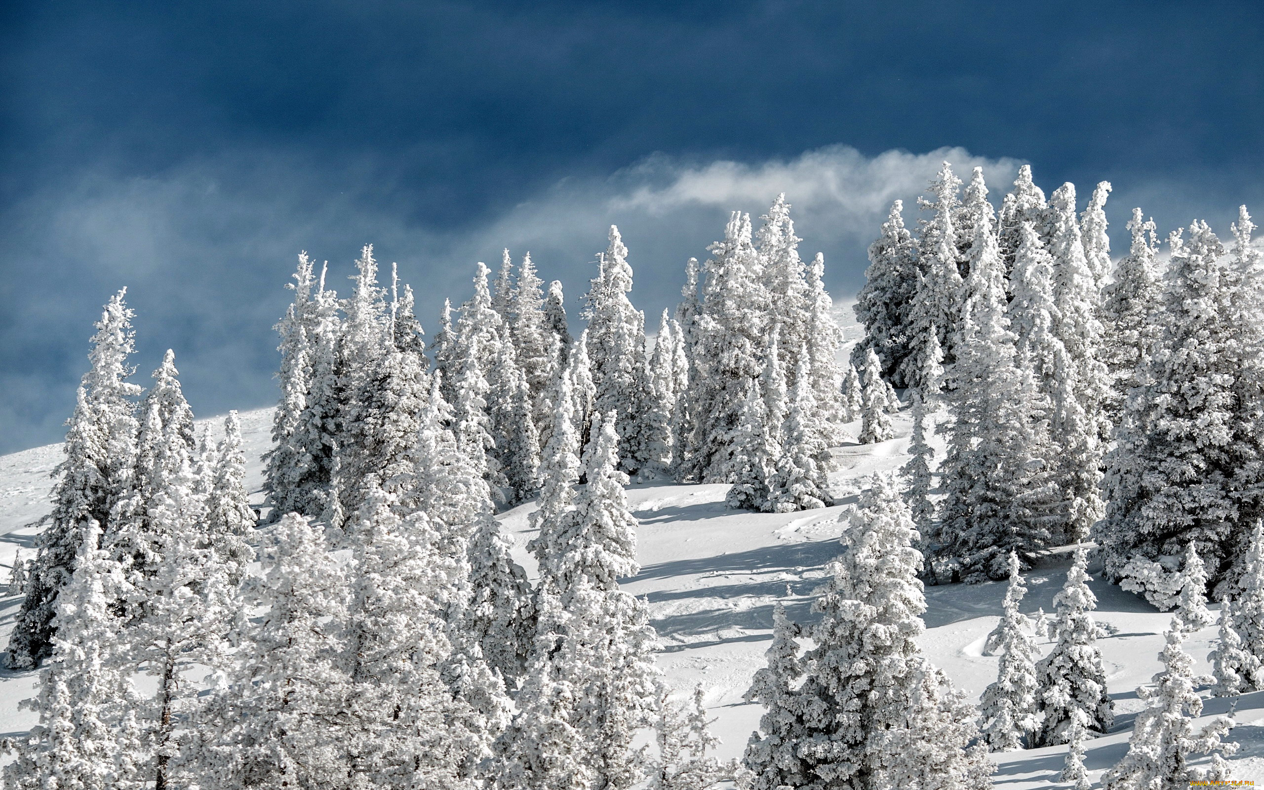 природа, зима, снег