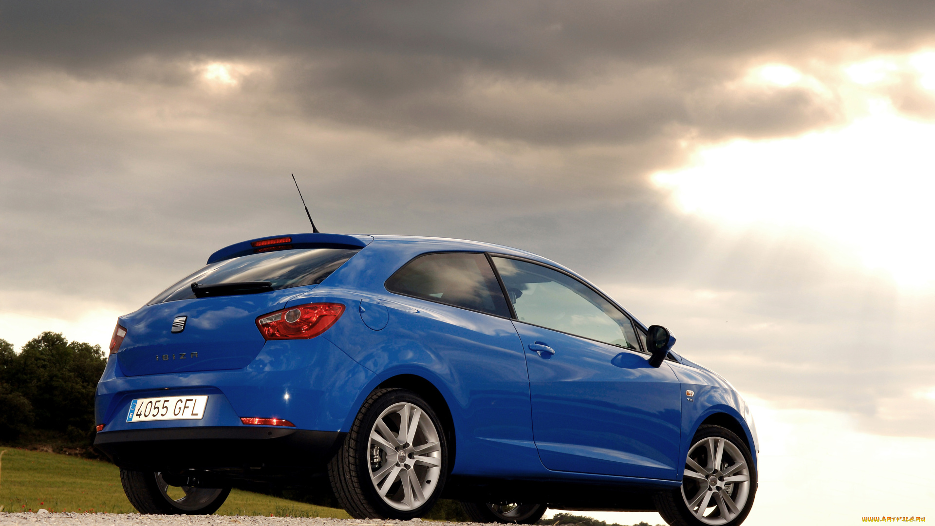 автомобили, seat