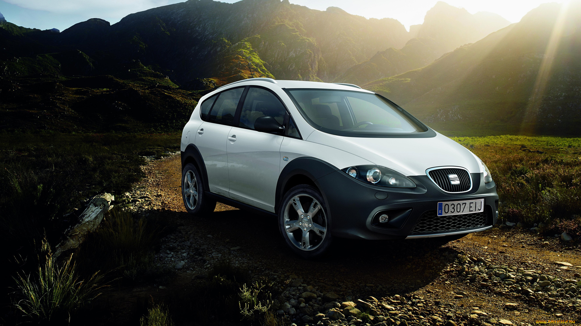 автомобили, seat