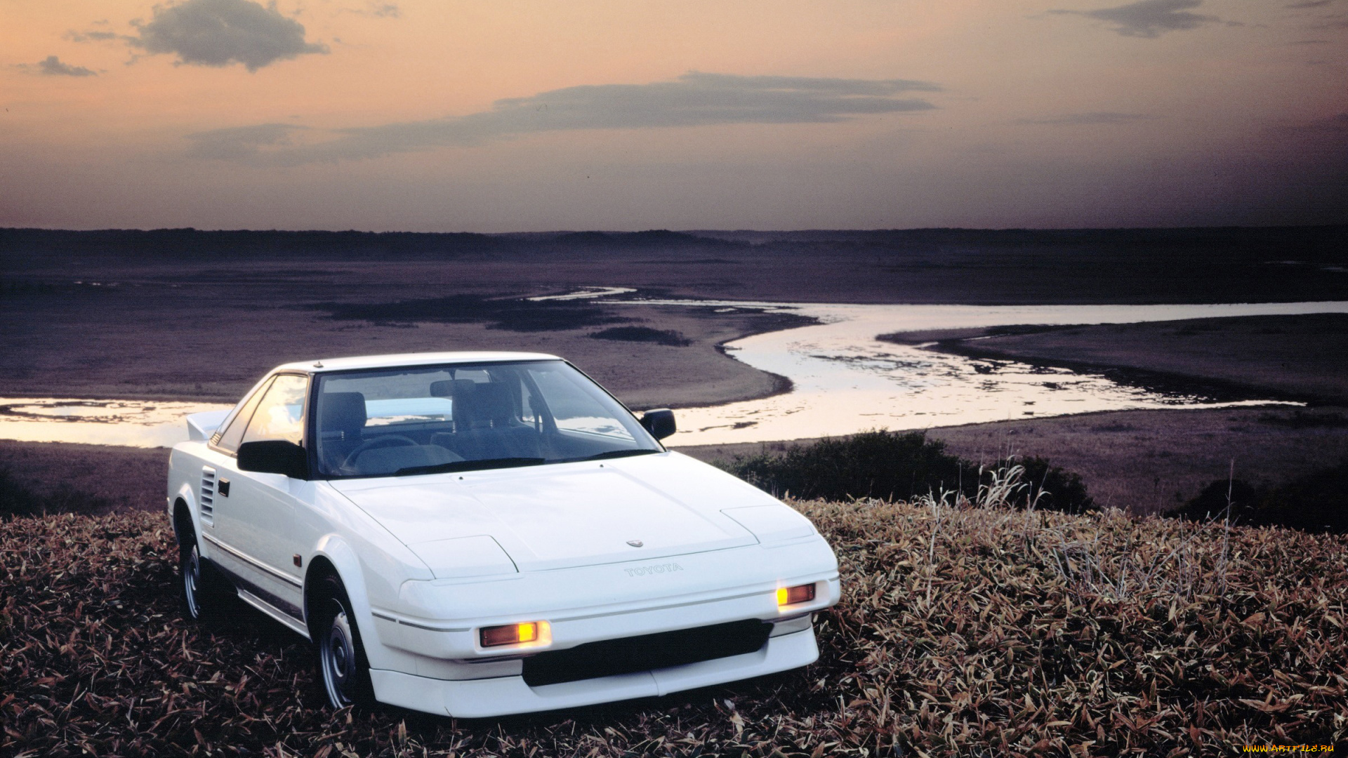 автомобили, toyota