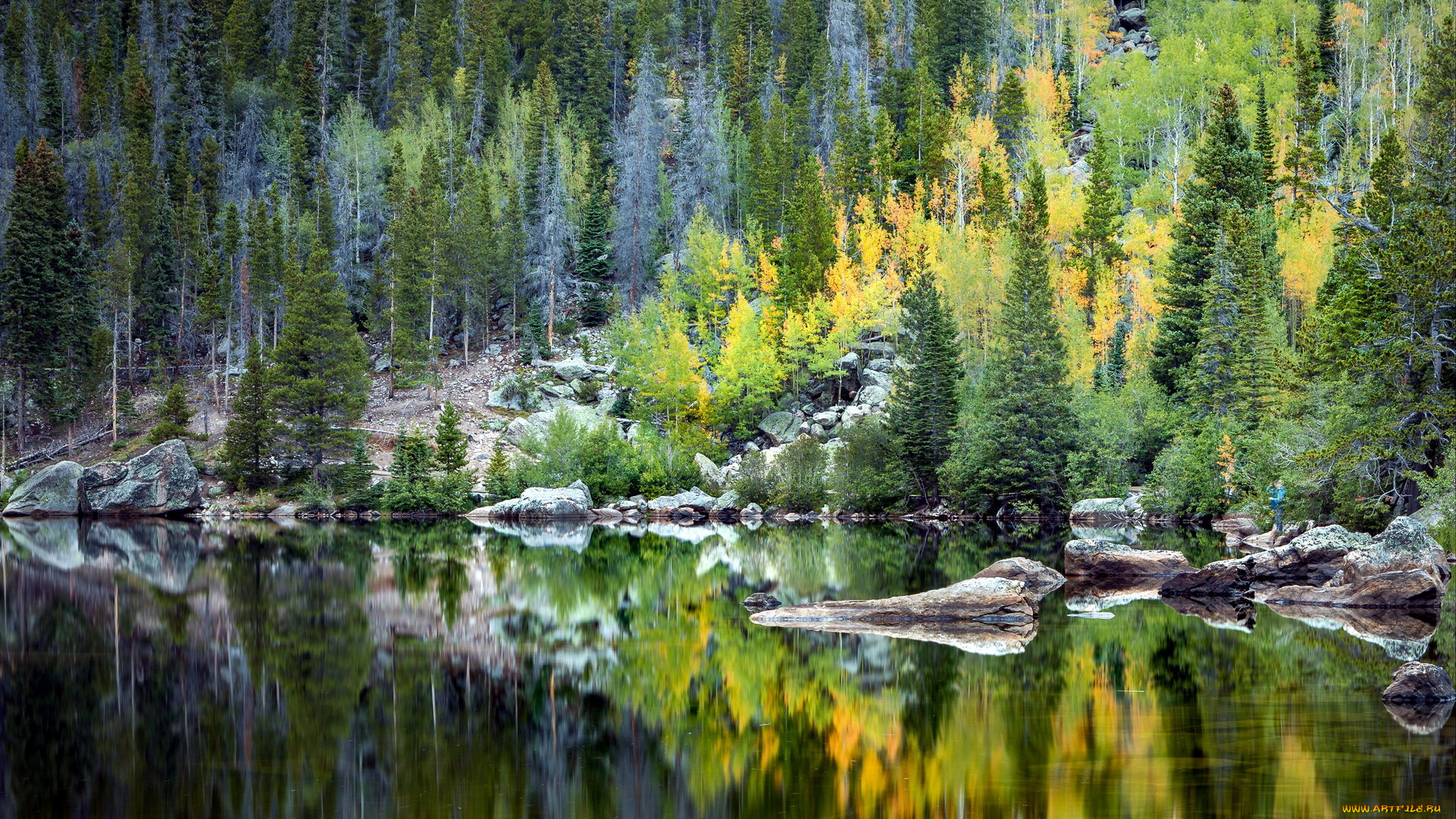 природа, реки, озера, лес, река, отражение