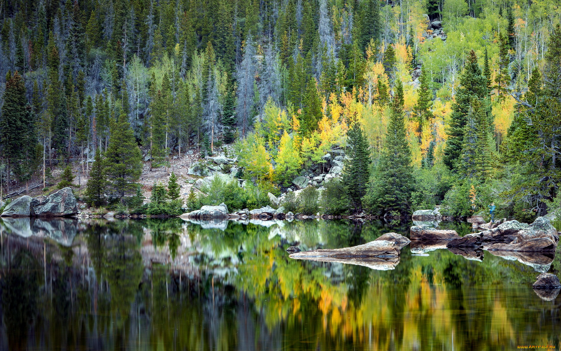 природа, реки, озера, лес, река, отражение