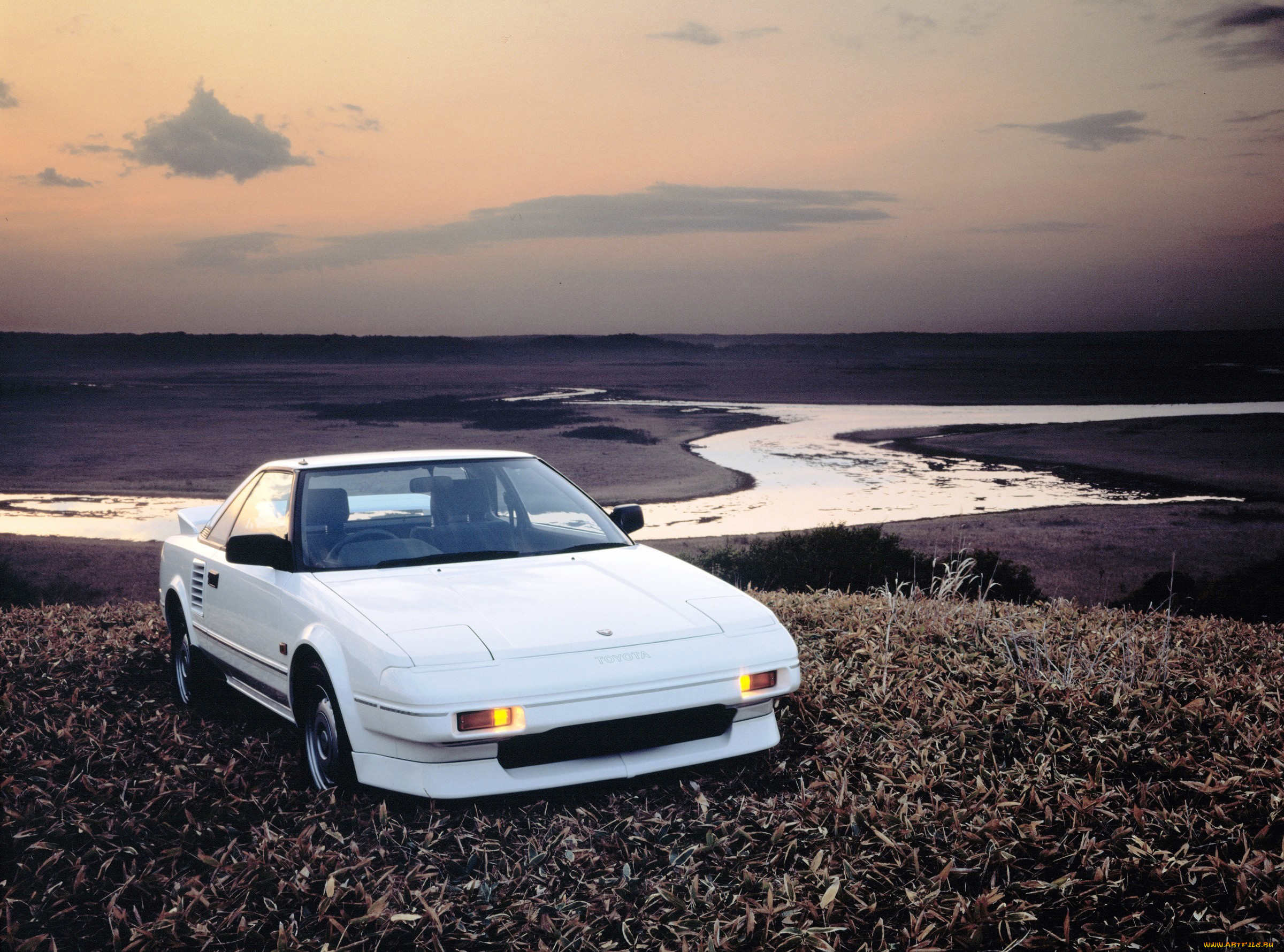 автомобили, toyota