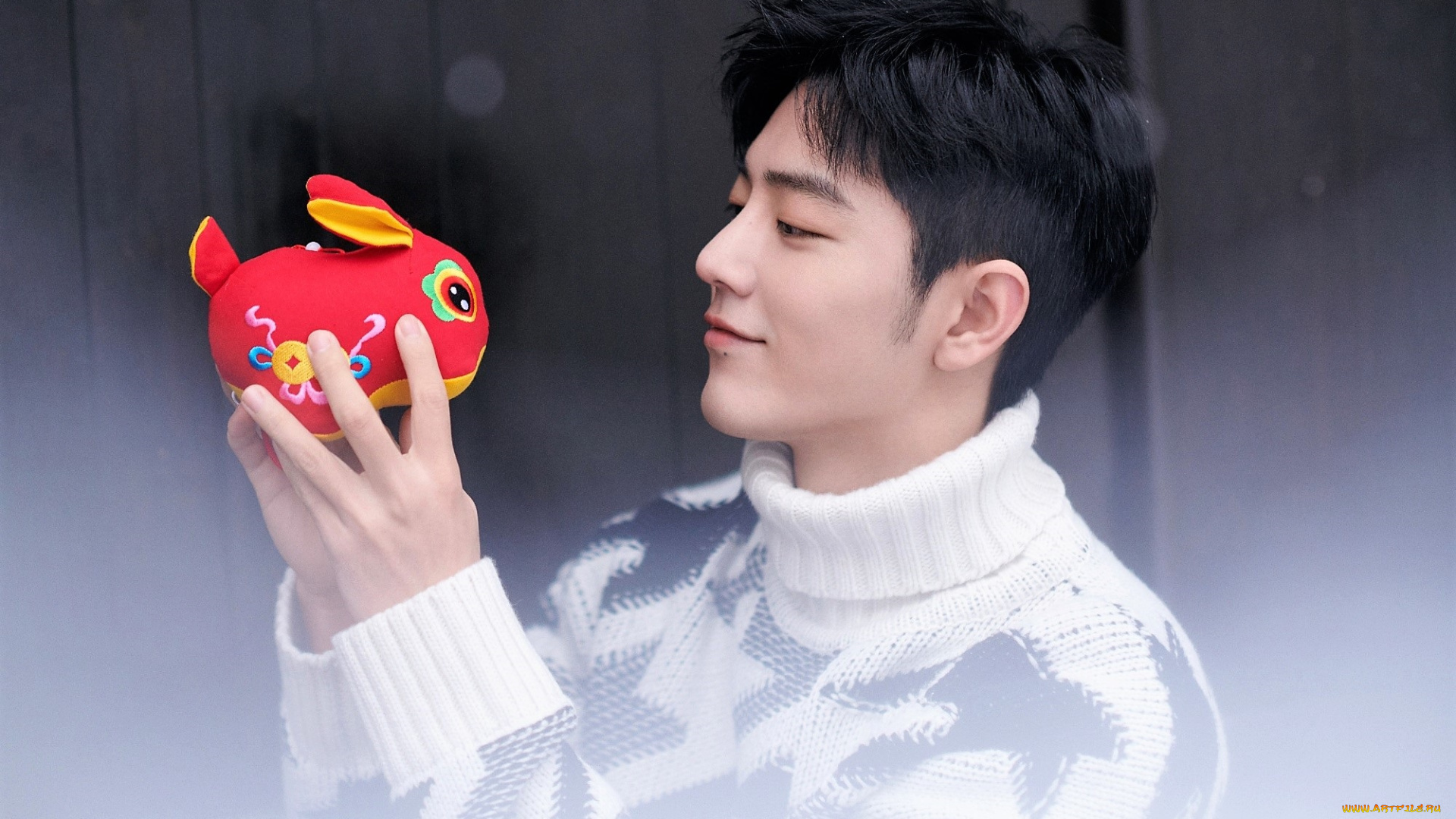 мужчины, xiao, zhan, актер, свитер, игрушка, кролик