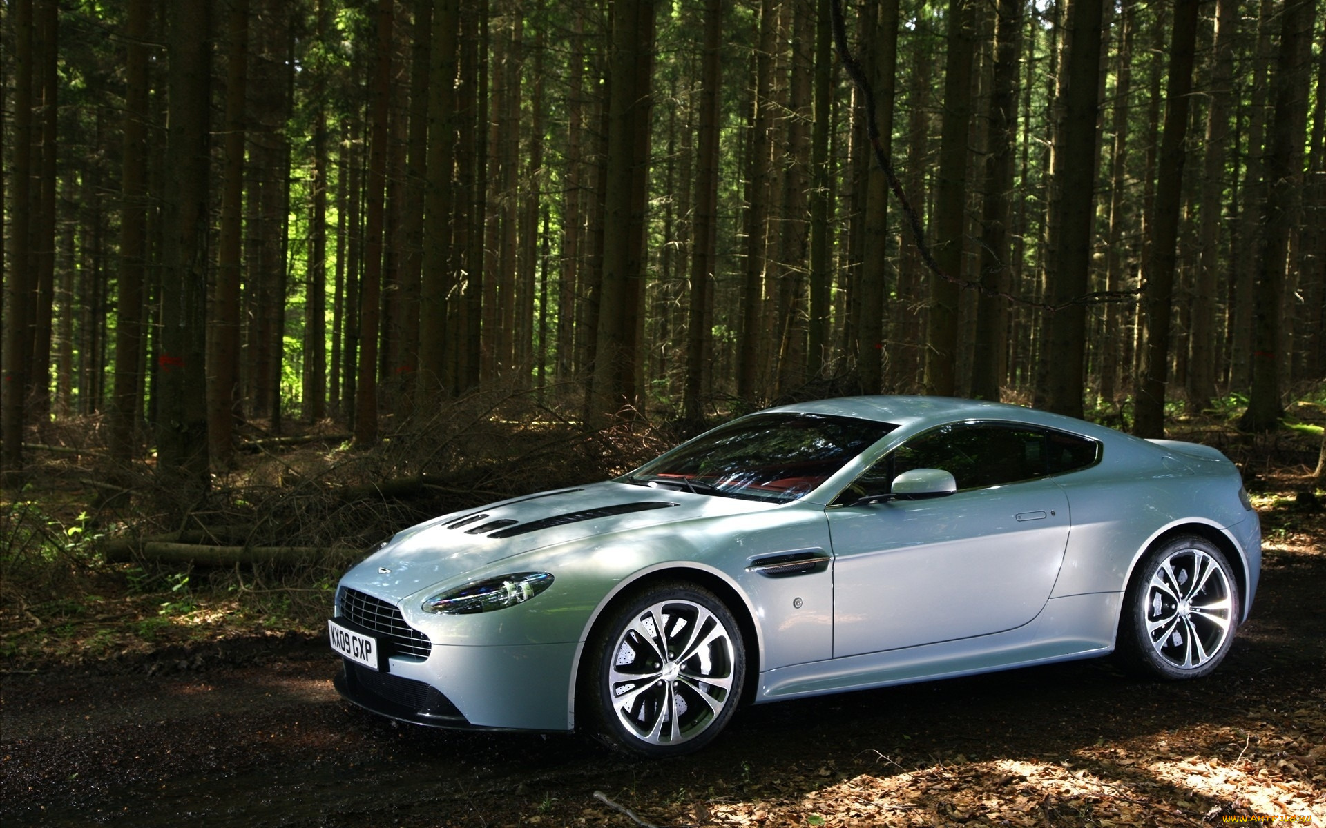 aston, martin, v12, vantage, автомобили, aston, martin, светлый, лес