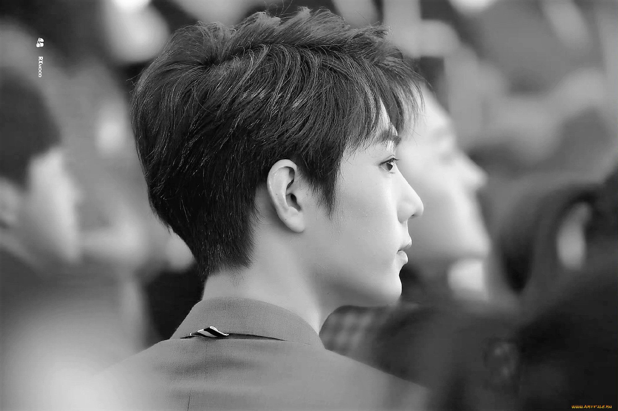 мужчины, xiao, zhan, актер, люди