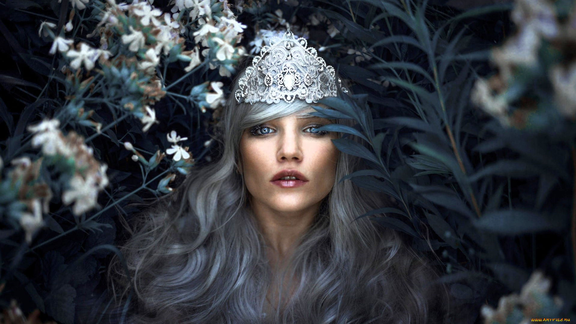 девушки, -, лица, , портреты, лицо, диадема, цветы