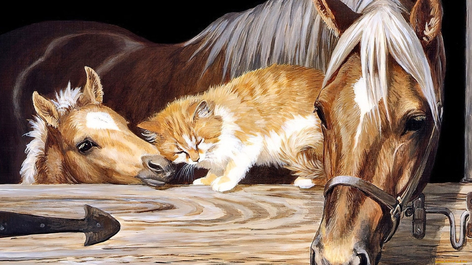 рисованное, животные, лошадь, жеребенок, кошка, стойло
