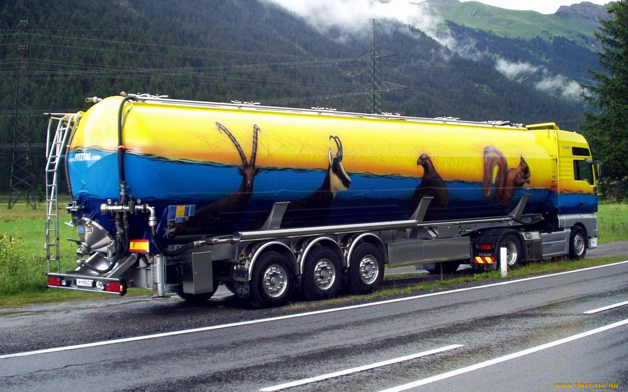 автомобили, man