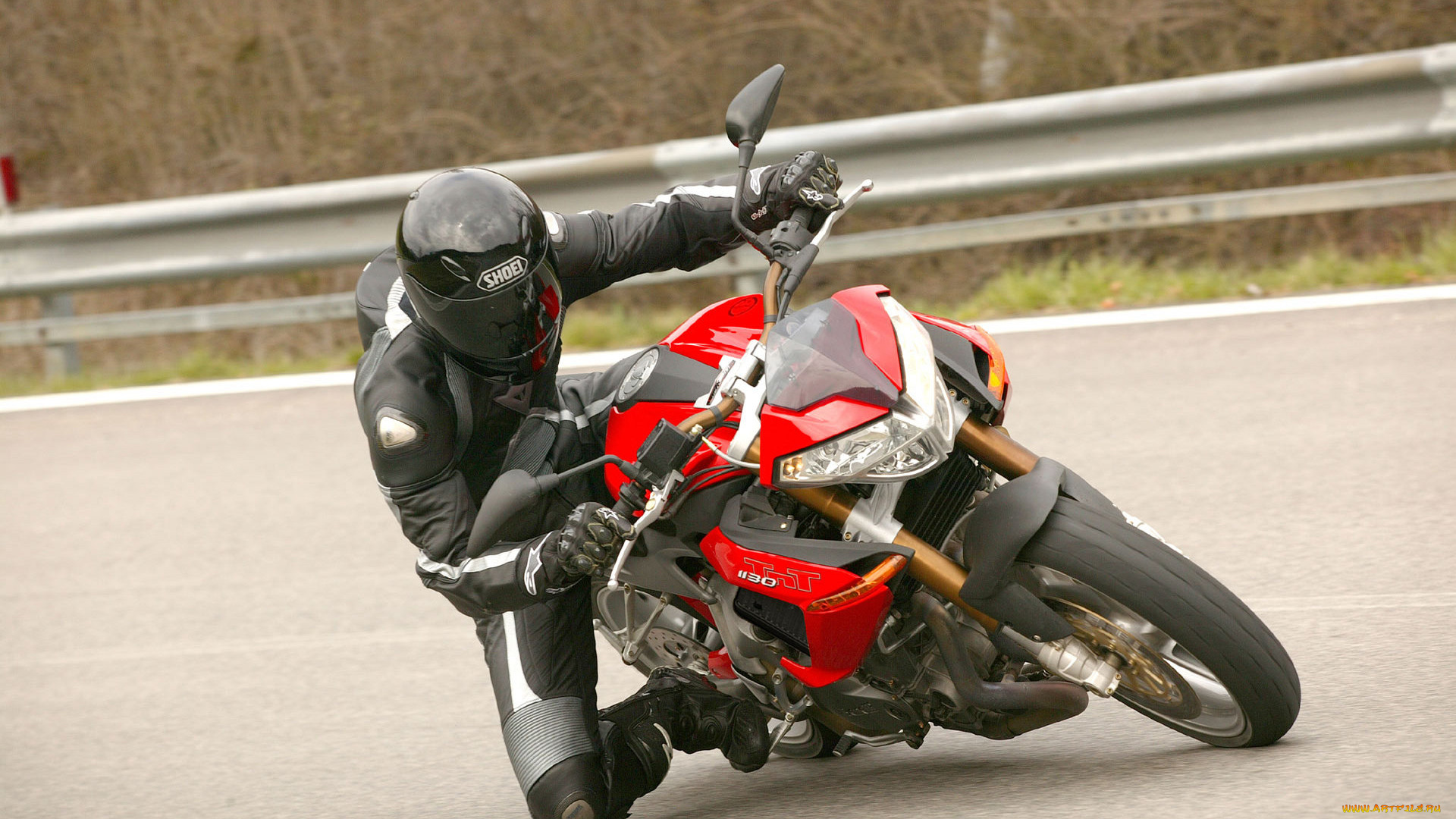 мотоциклы, benelli