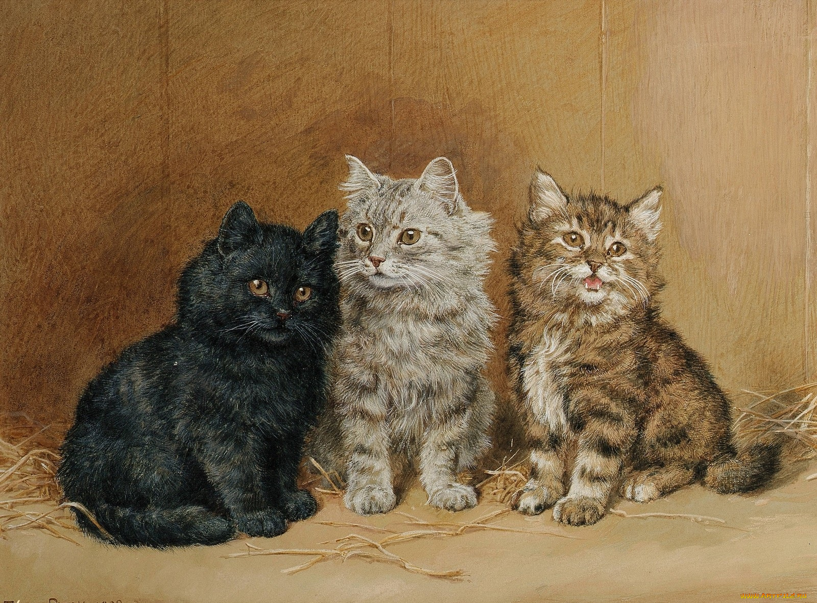 рисованные, frank, paton