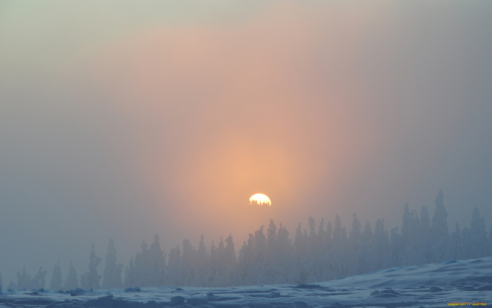 природа, восходы, закаты, деревья, лес, снег, зима, туман, небо, солнце
